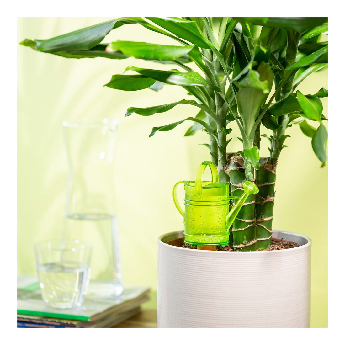 Nelly Water Reserve - 5 oz. Green