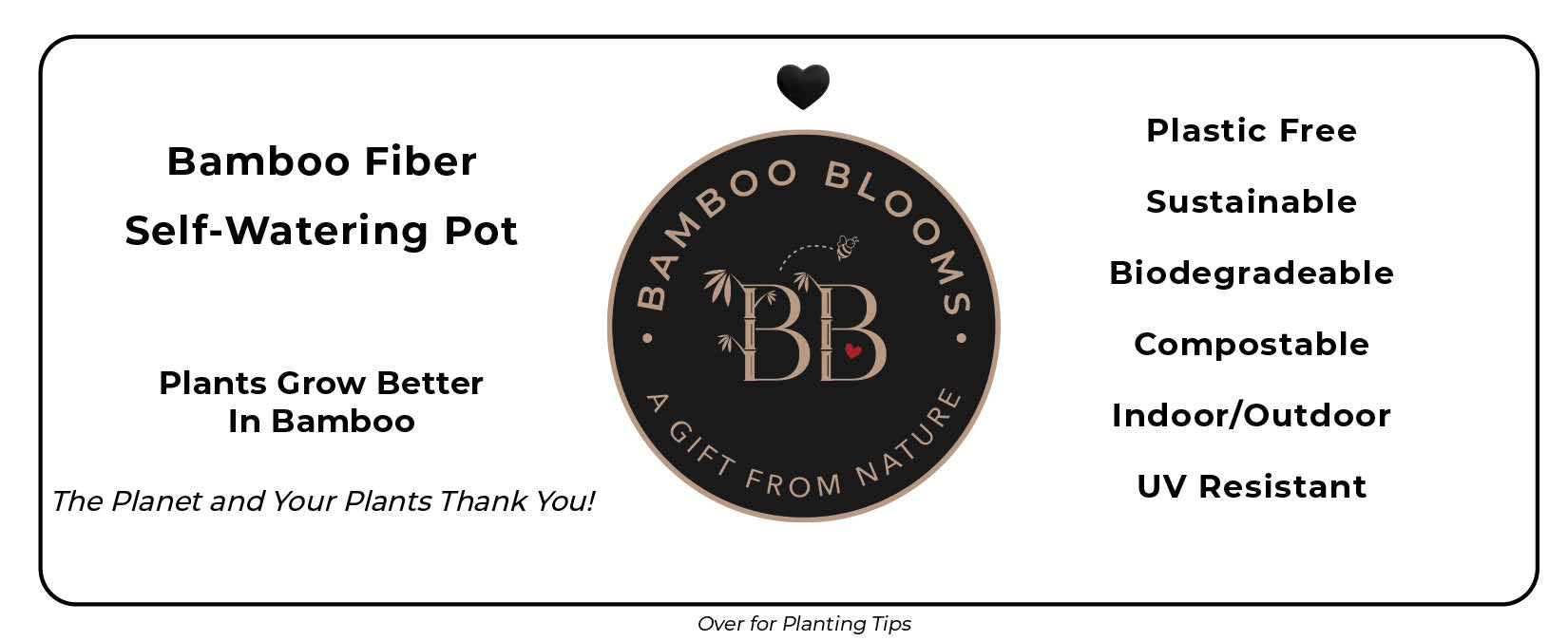 16" Rectangular Self-Watering Bamboo Planter - Herbs