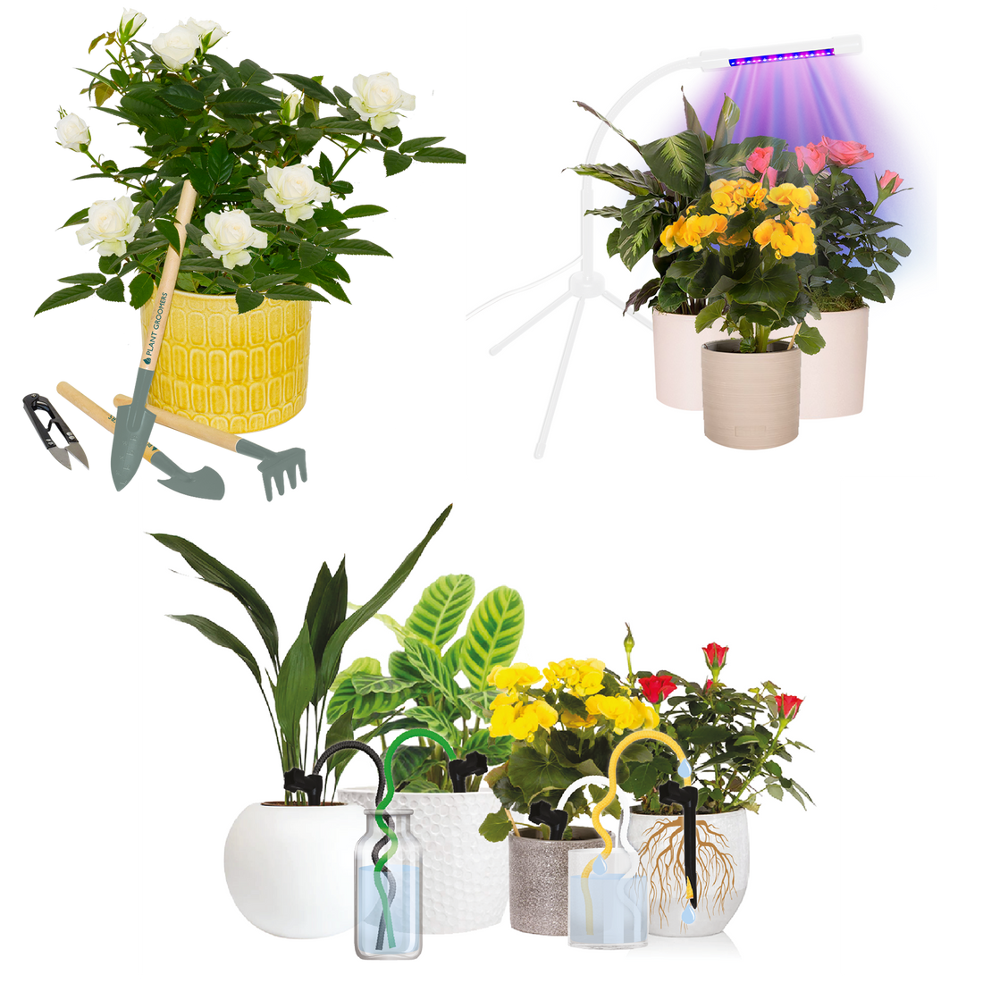 Plant Grow Kit