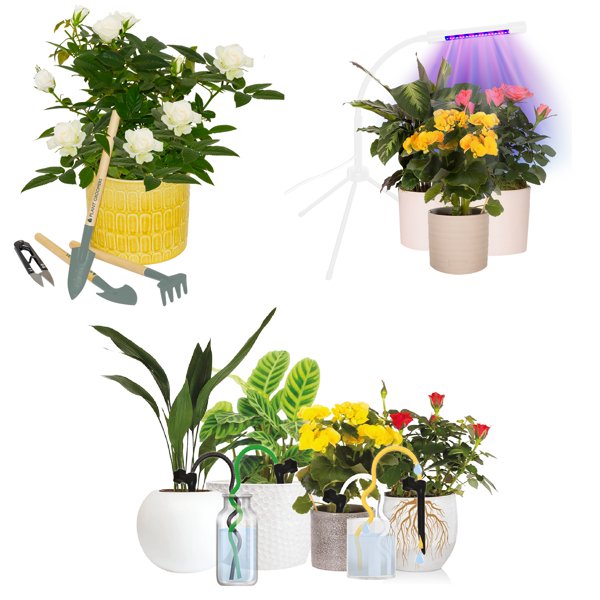 Plant Grow Kit