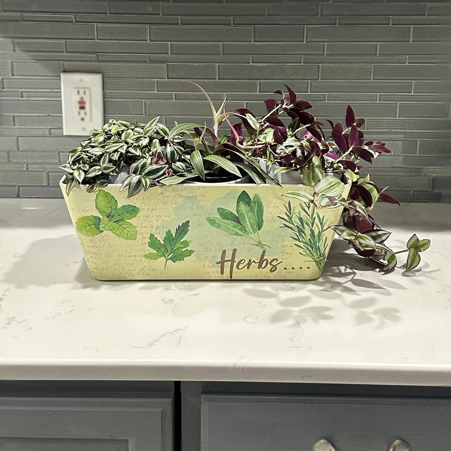 16" Rectangular Self-Watering Bamboo Planter - Herbs