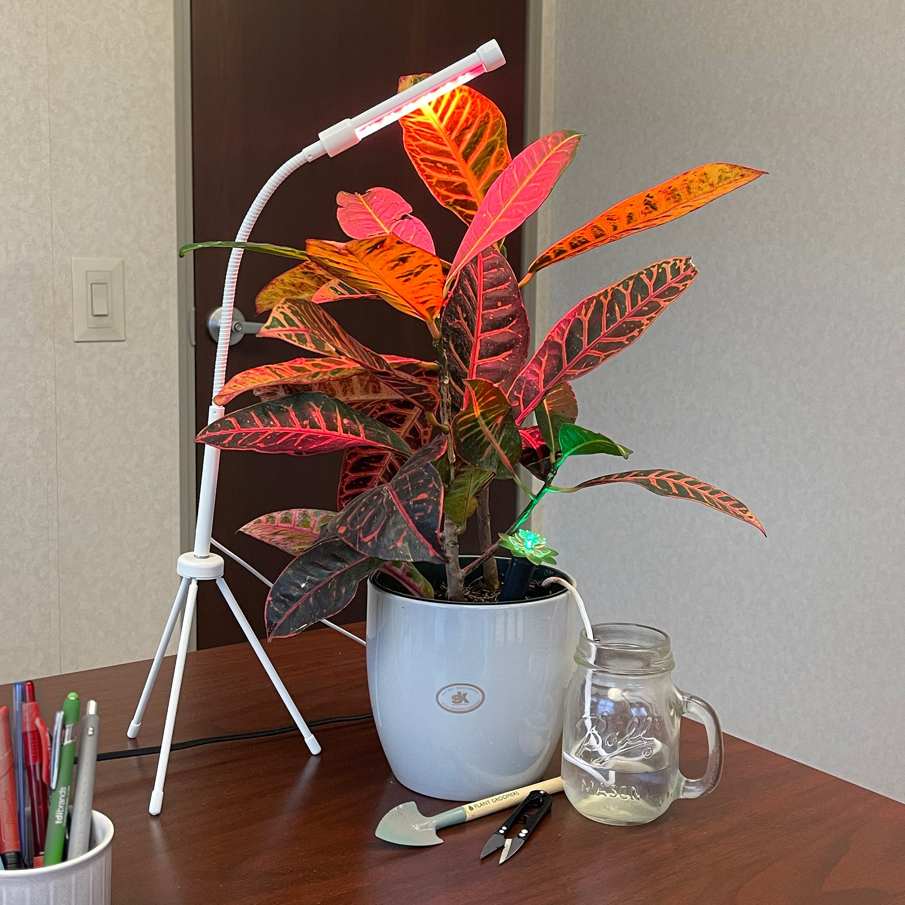 Plant Alarm - Deluxe 5 piece Kit