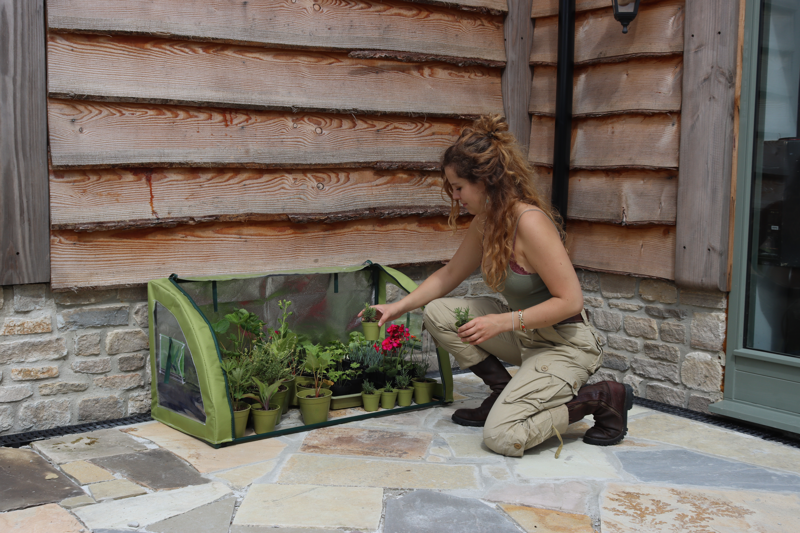 Light-Booster Coldframe