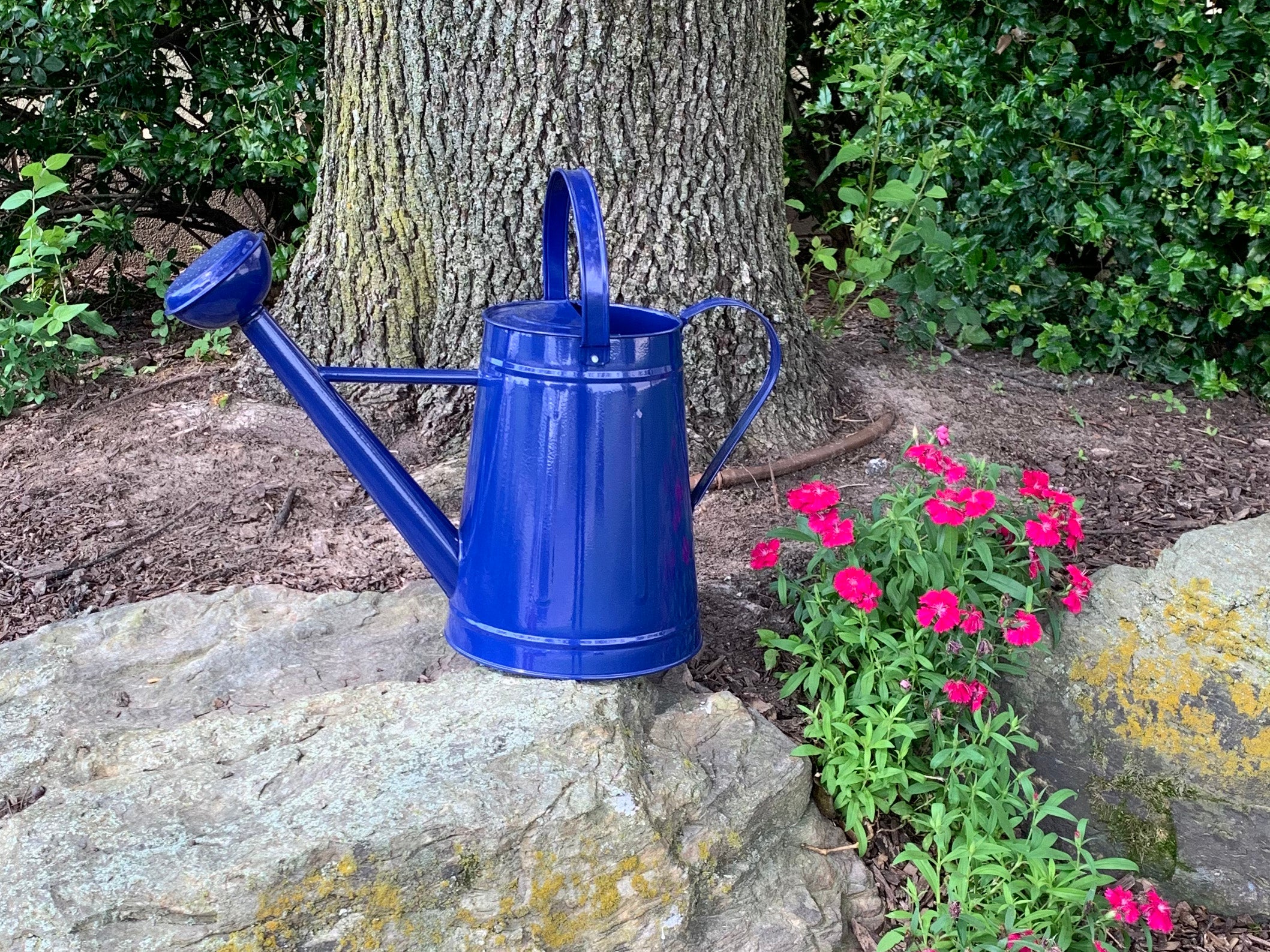 Metal Watering Can & Memory Foam Kneel Cushion Combo - 1.2 gal Blue