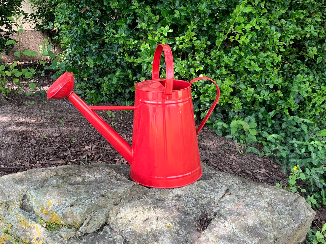 Metal Watering Can & Memory Foam Kneel Cushion Combo - 2.1 gal Red