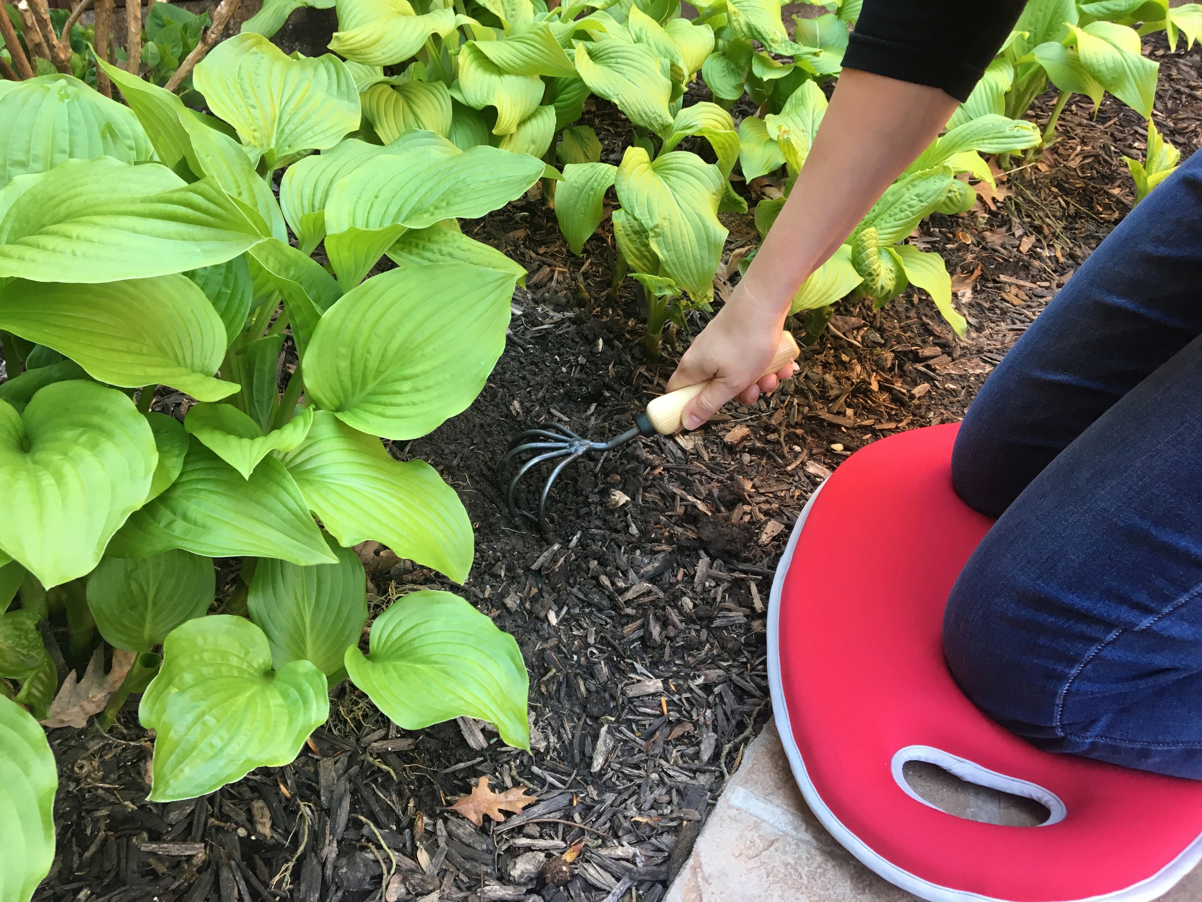 Metal Watering Can & Memory Foam Kneel Cushion Combo - 2.1 gal Red