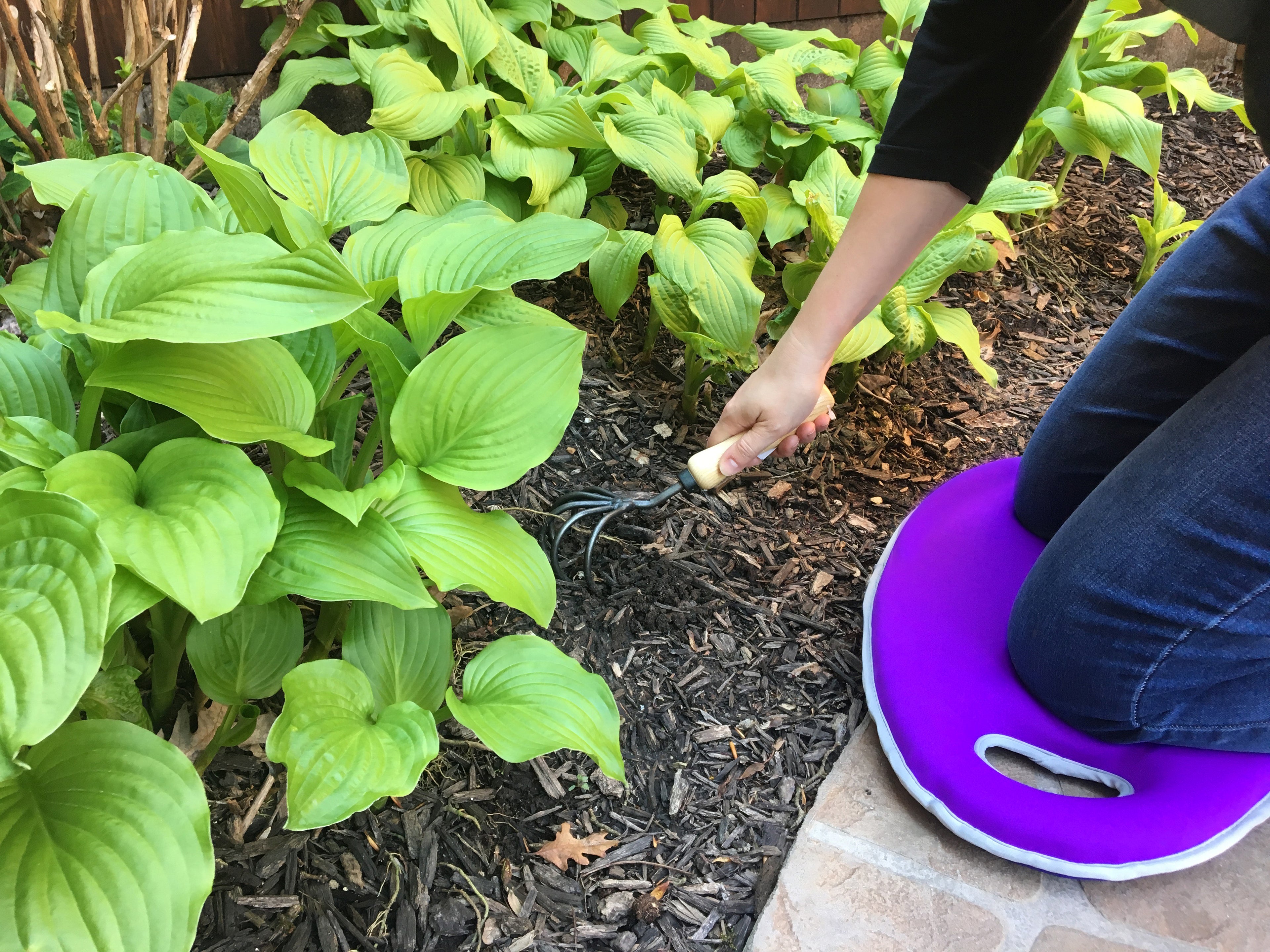 Metal Watering Can & Memory Foam Kneel Cushion Combo - 1.2 gal Violet