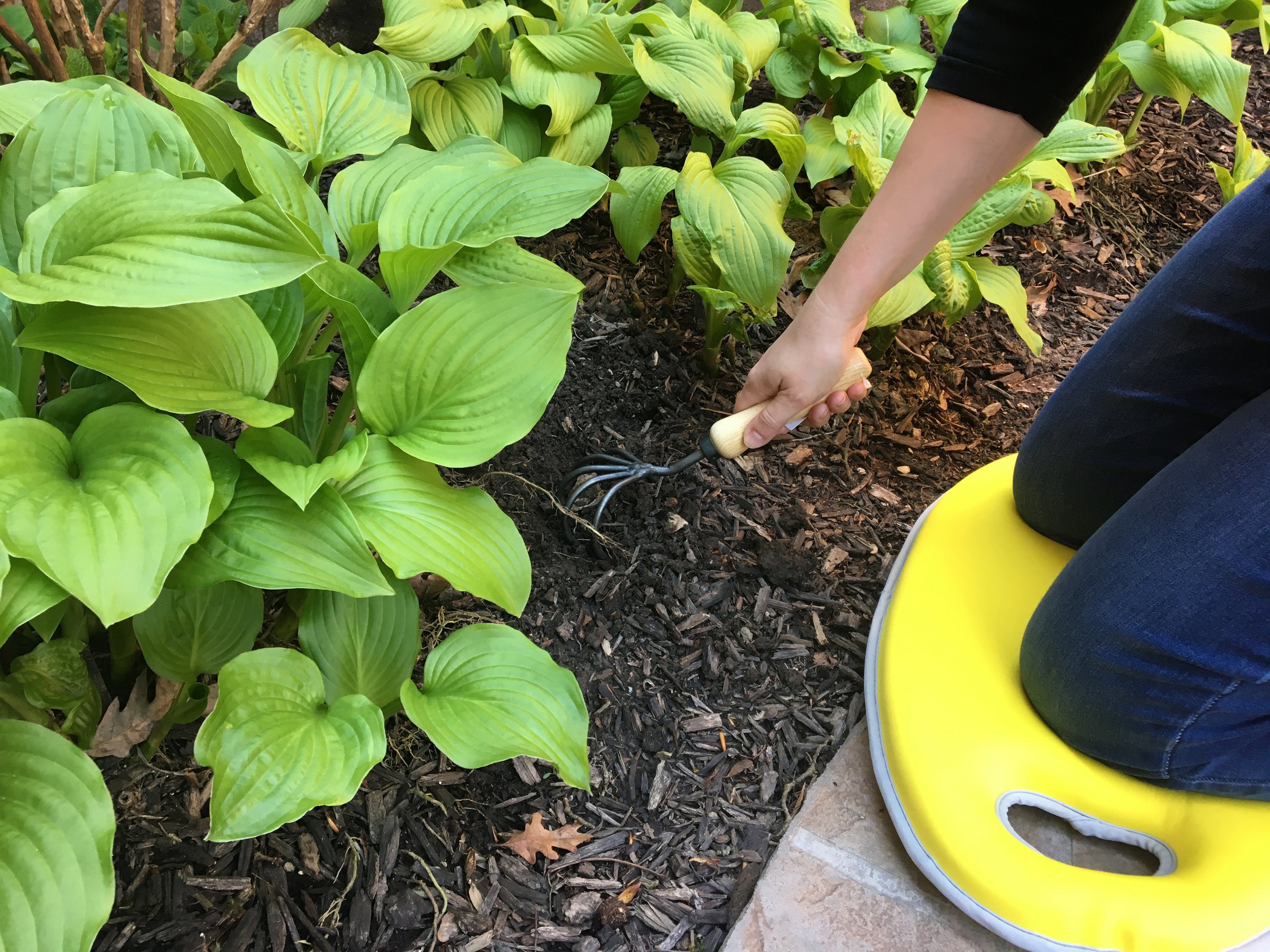 Metal Watering Can & Memory Foam Kneel Cushion Combo - 1.2 gal Yellow