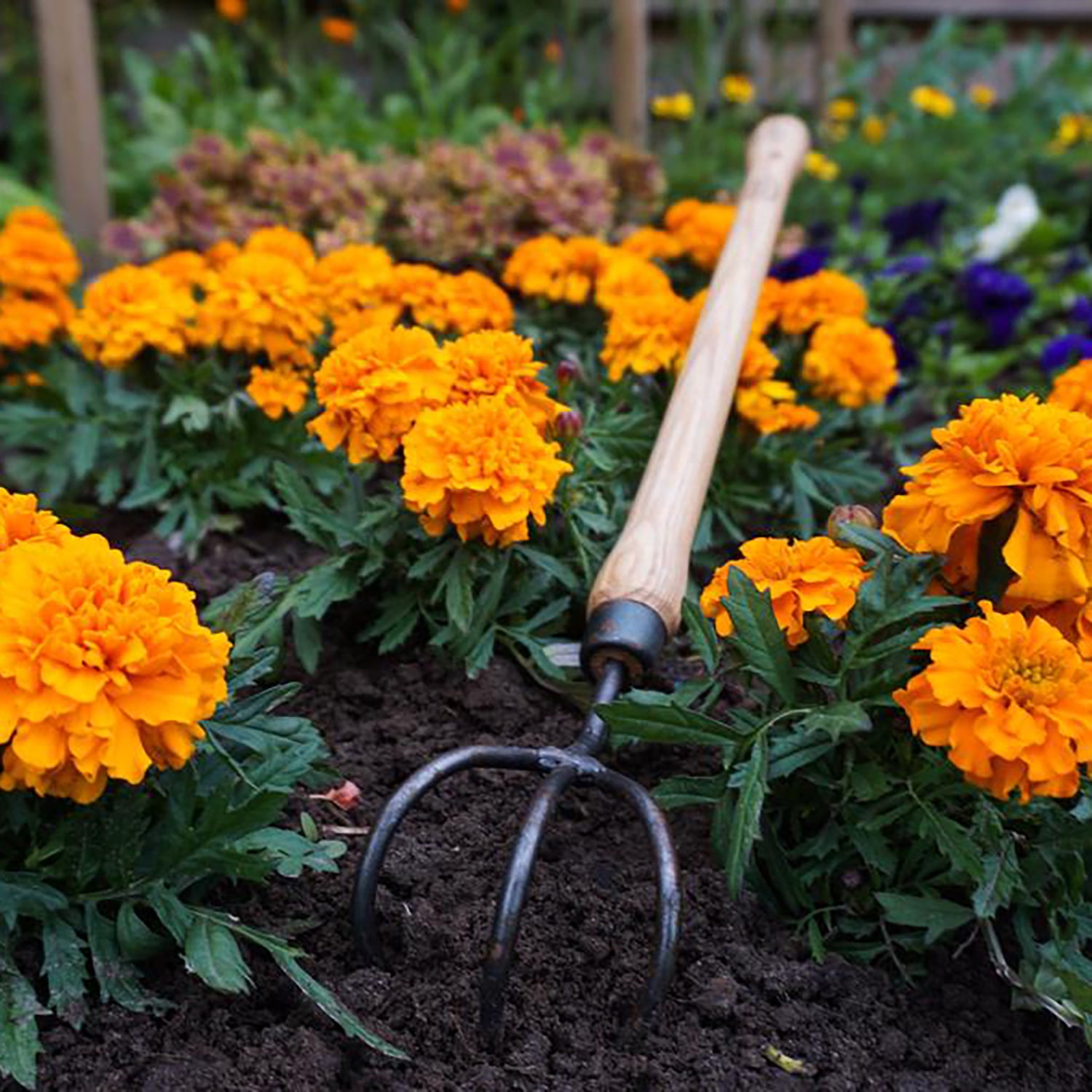 DeWit Cultivator - 3 Tine Drop Grip