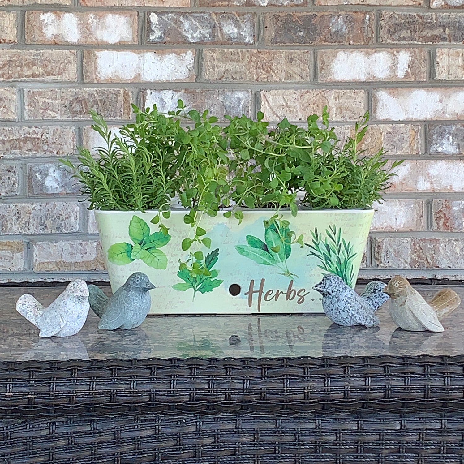 16" Rectangular Self-Watering Bamboo Planter - Herbs