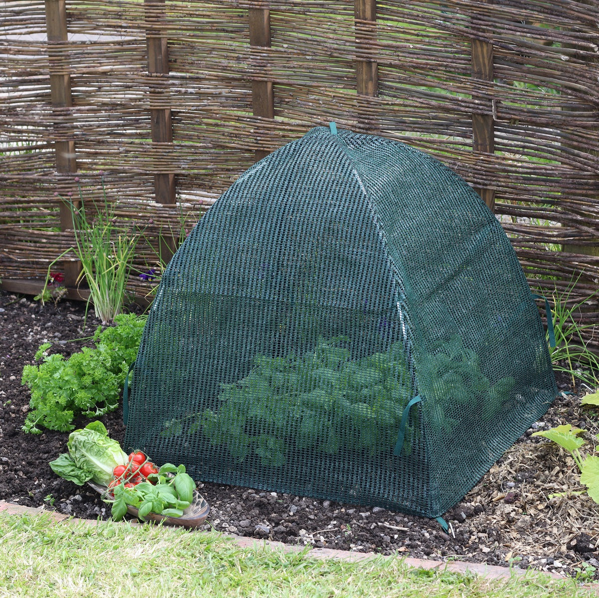 Easy Net Dome - Standard