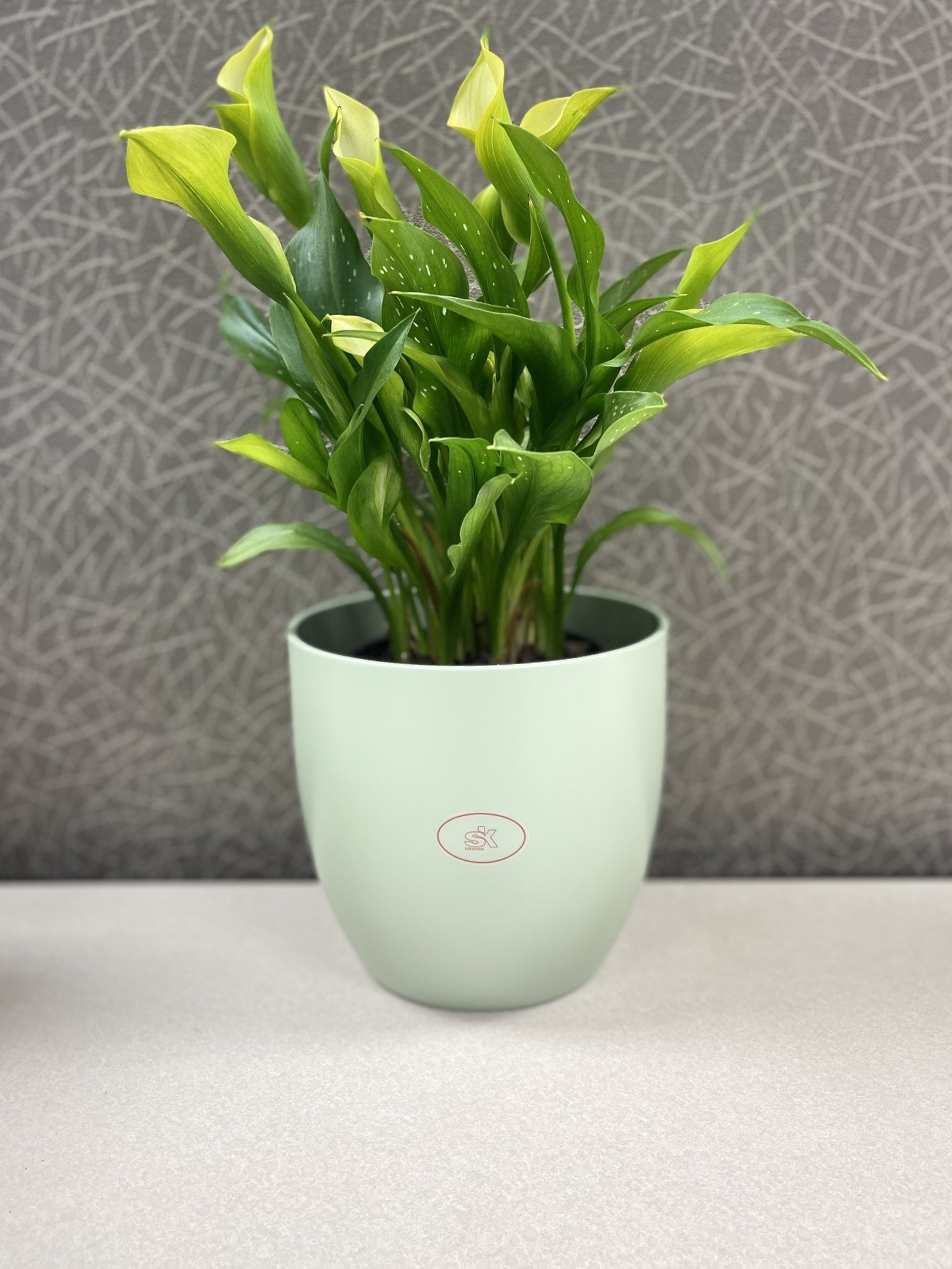 Basel Fashion Ceramic Pot - 6.3" Matte Linden Green