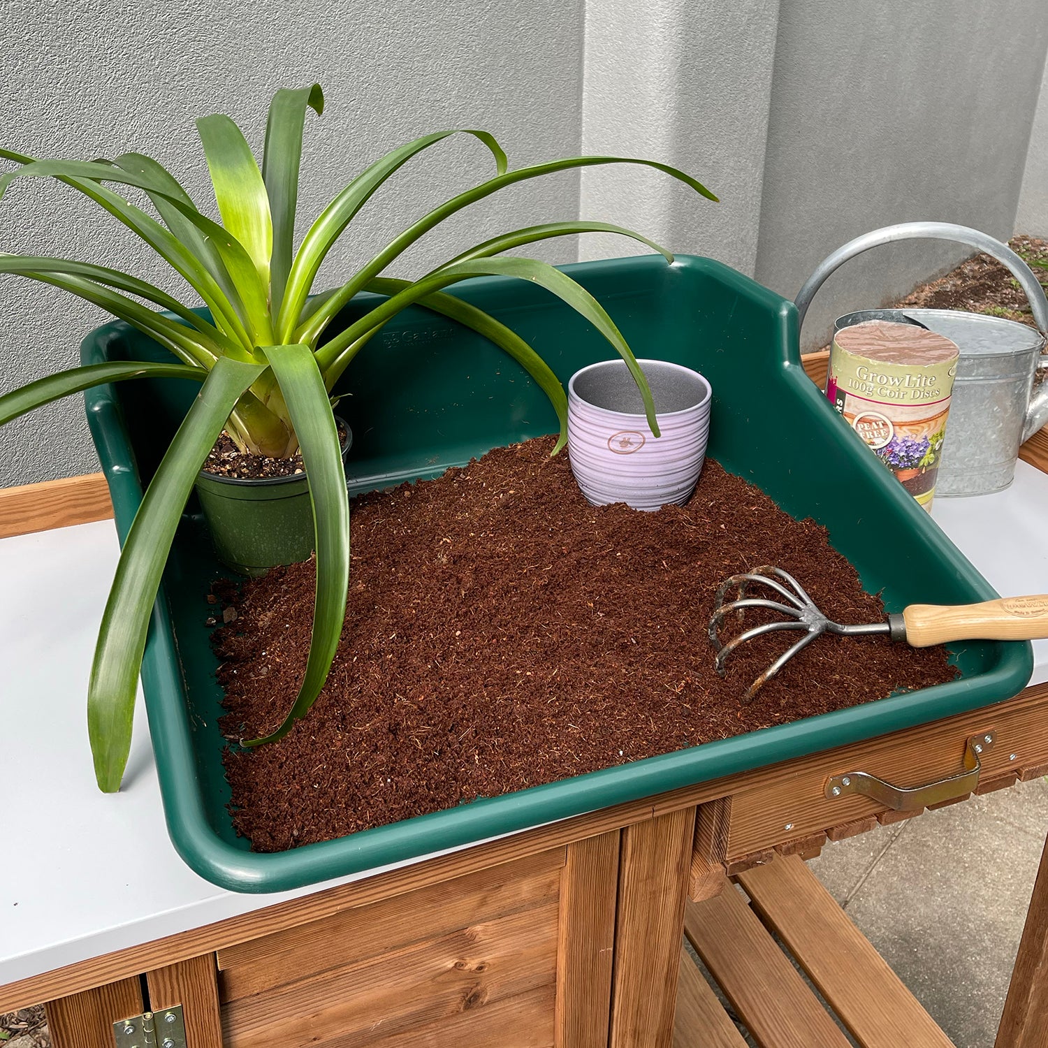 Tidy Tray - Green