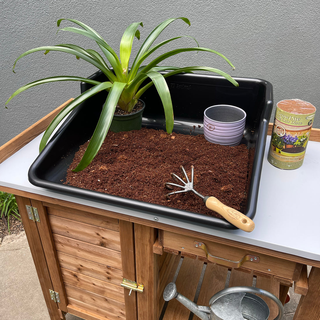 Tidy Tray - Black
