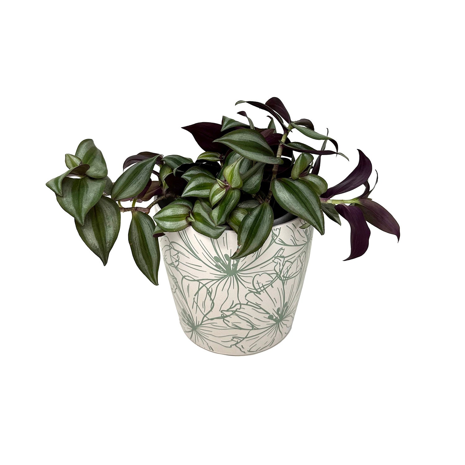 5" Round Self-Watering Bamboo Pot - Green Flowers