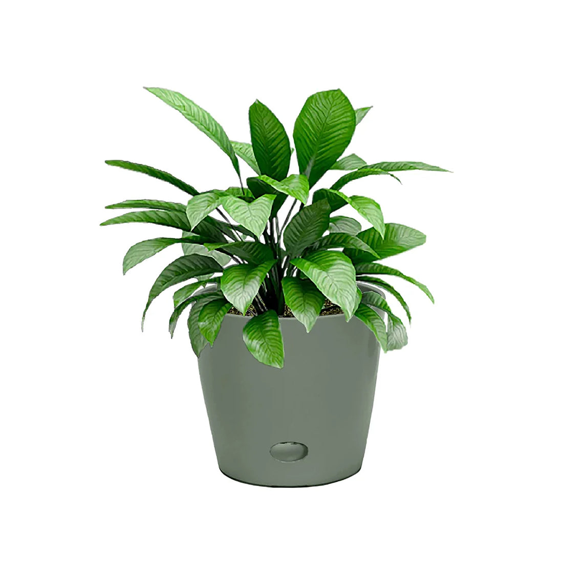 5" Round Self-Watering Bamboo Pot - Sage Green