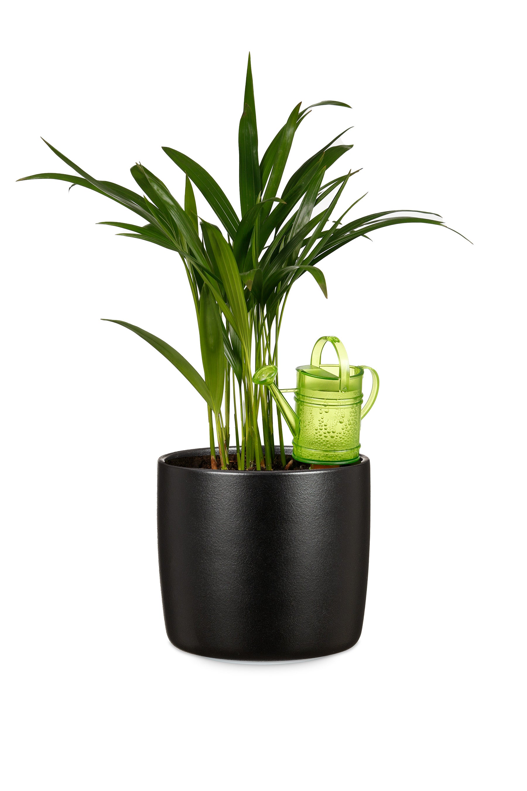 Nelly Water Reserve - 5 oz. Green