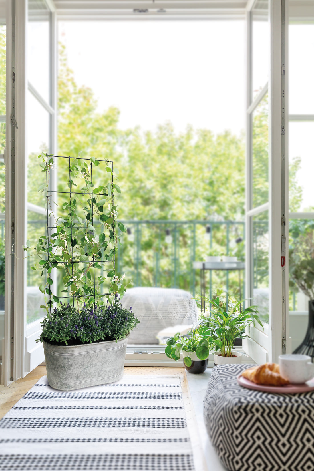 Vario Trellis Plant Support Stake - Medium Rectangle