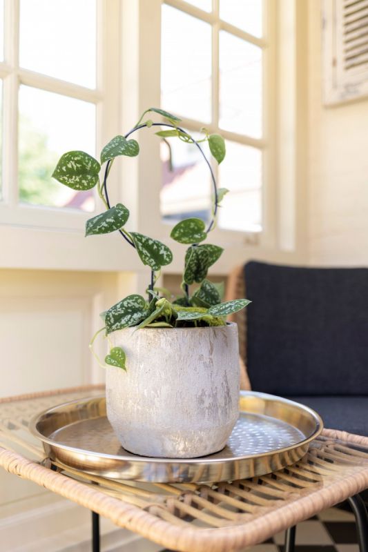 Pot Trellis Stake - Circle S