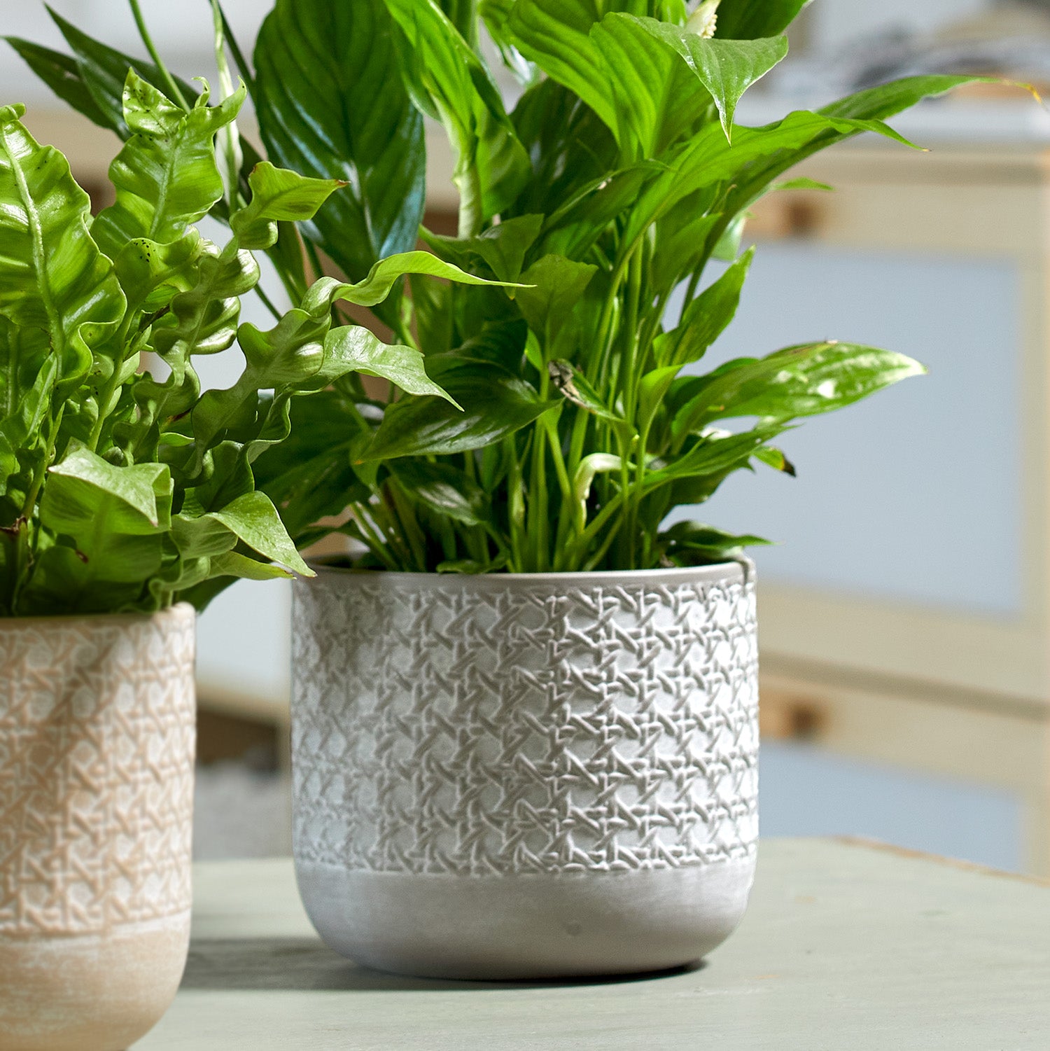 Vienna Ceramic Pot - 5.1" Silk Gray