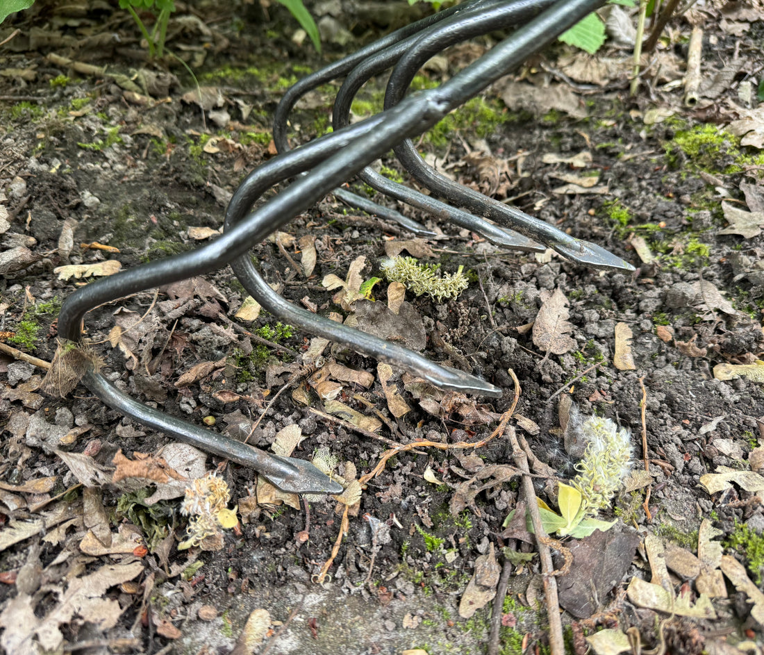 DeWit Cultivator - Flat 5-Tine with Long Handle