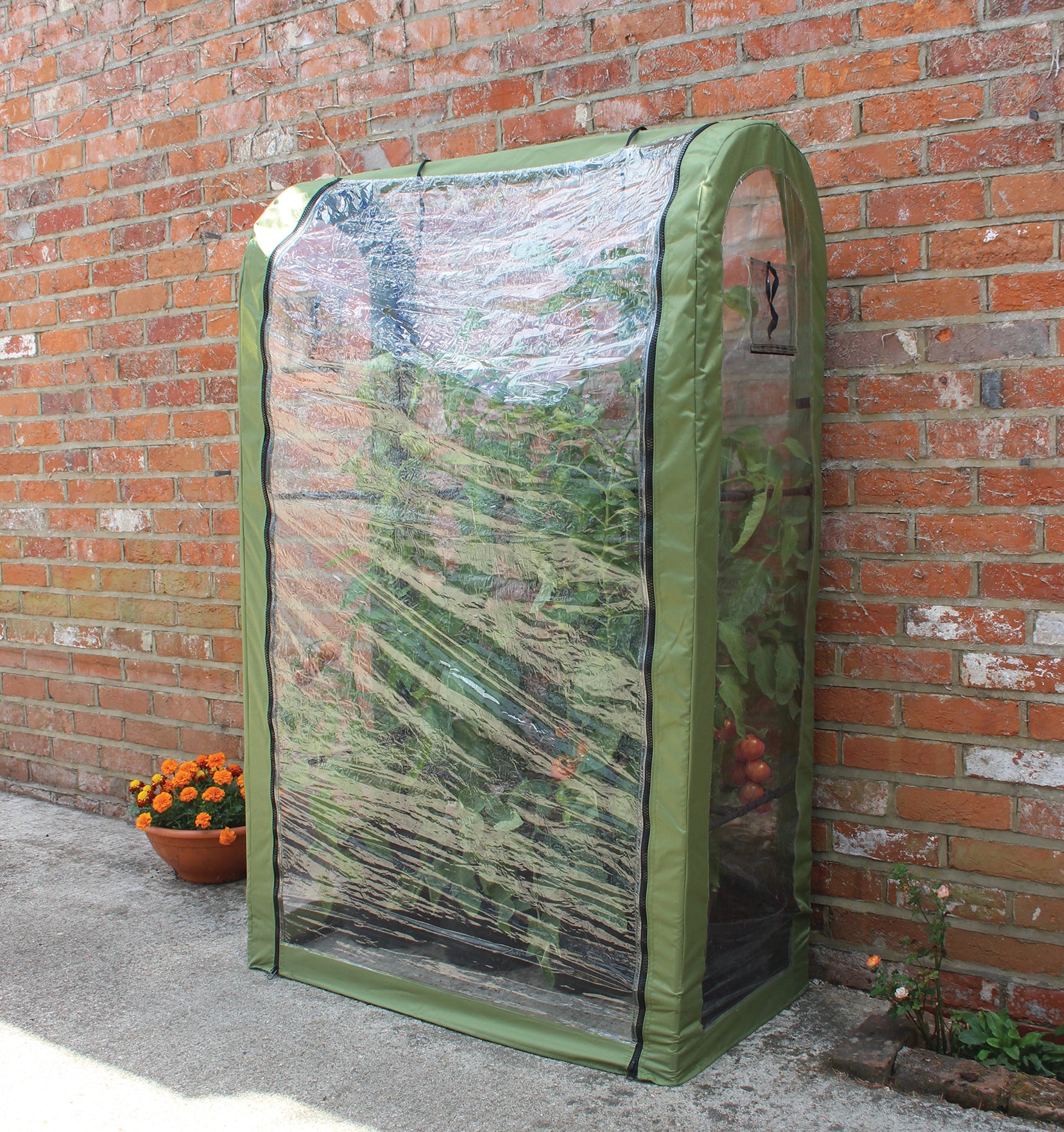 Tomato Crop Booster with Cover