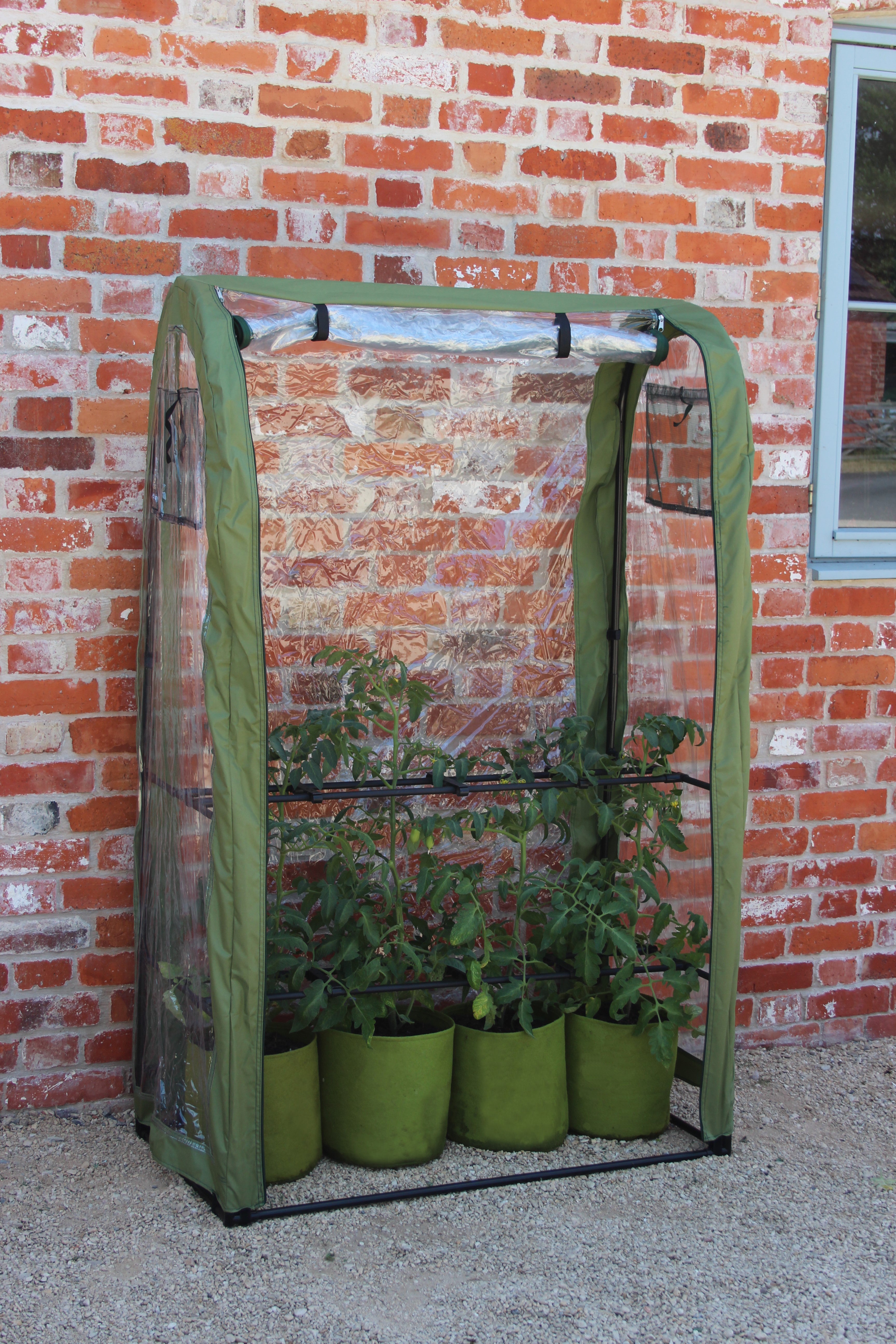 Tomato Crop Booster with Cover