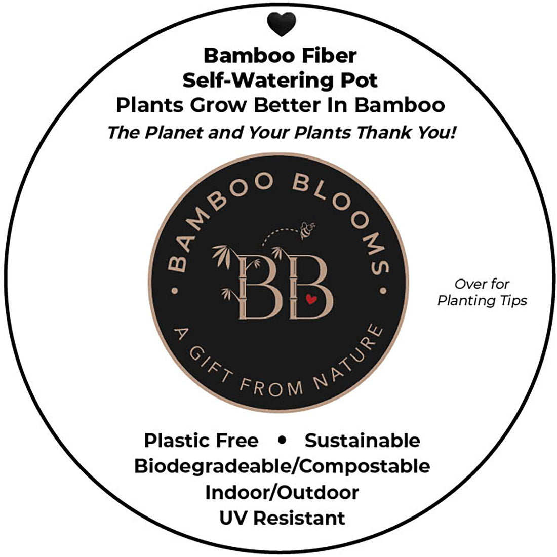 Self-Watering Bamboo Pot - 10" Cream Round