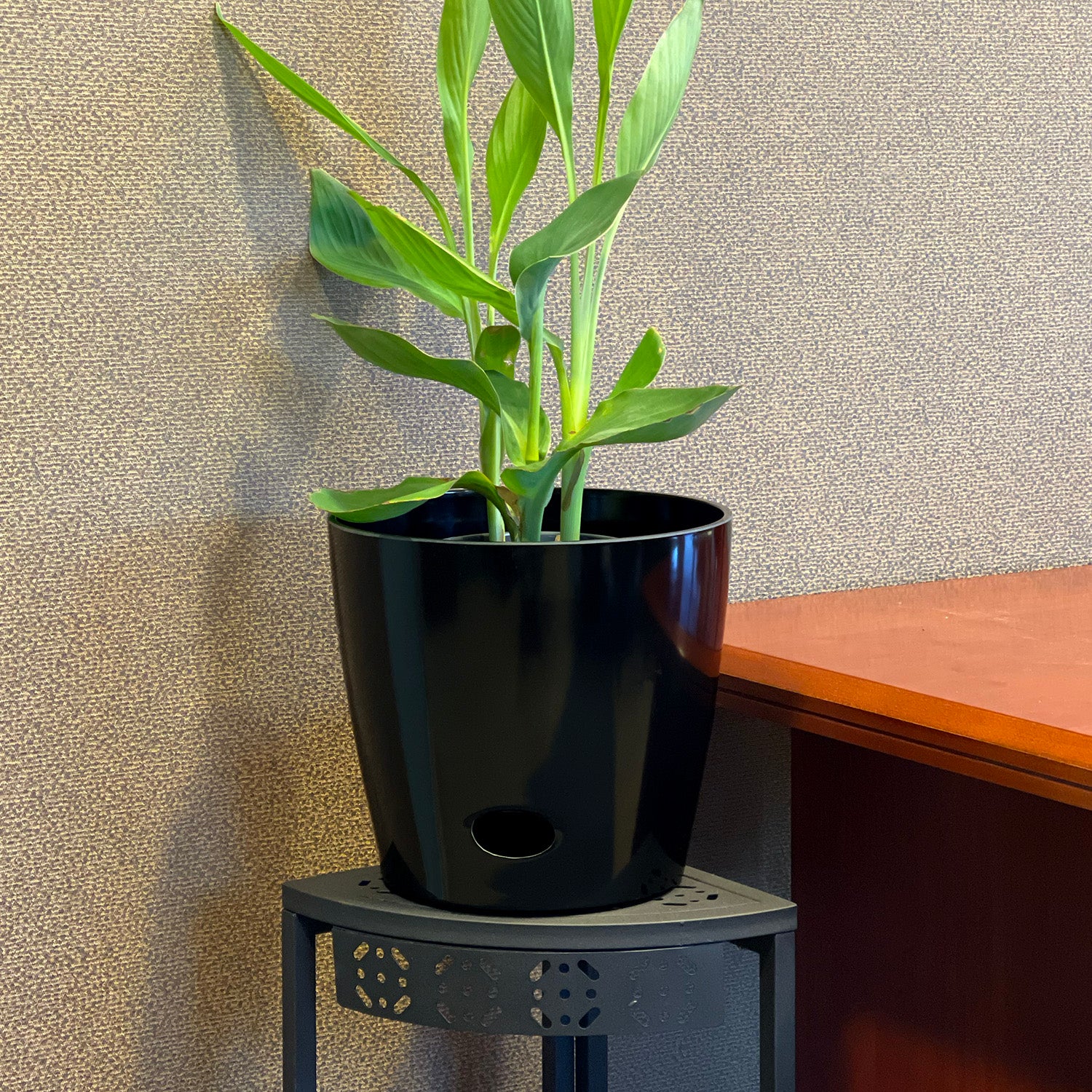Self-Watering Bamboo Pot - 10" Black Round
