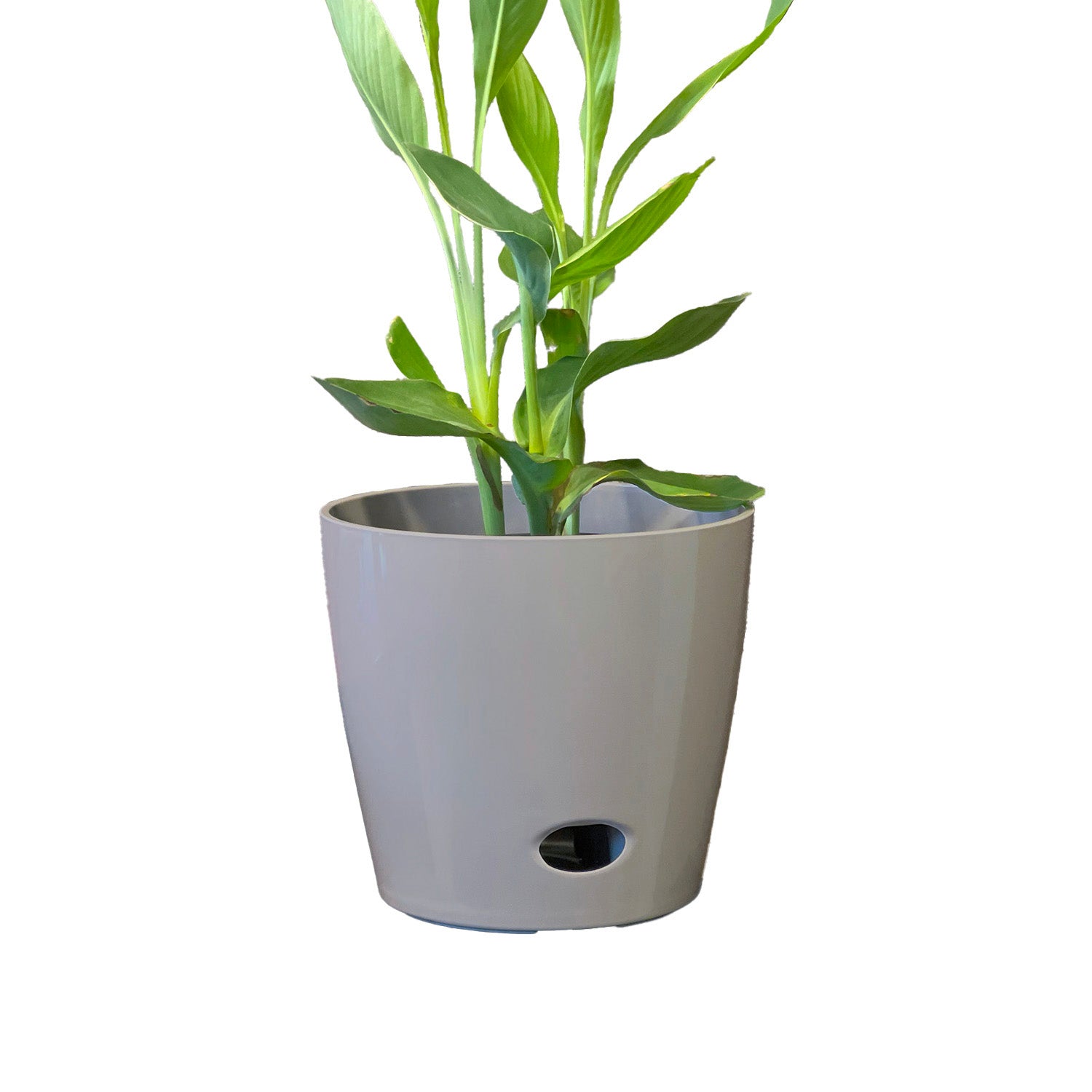10" Round Self-Watering Bamboo Pot - Gray