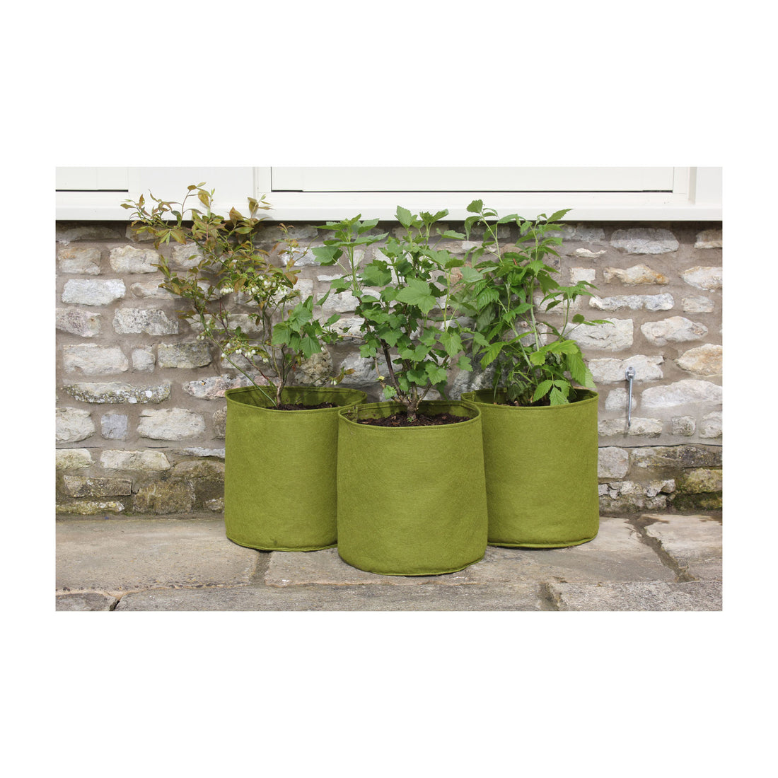 Vigoroot Pots (3 pack) - 5.3 Gal