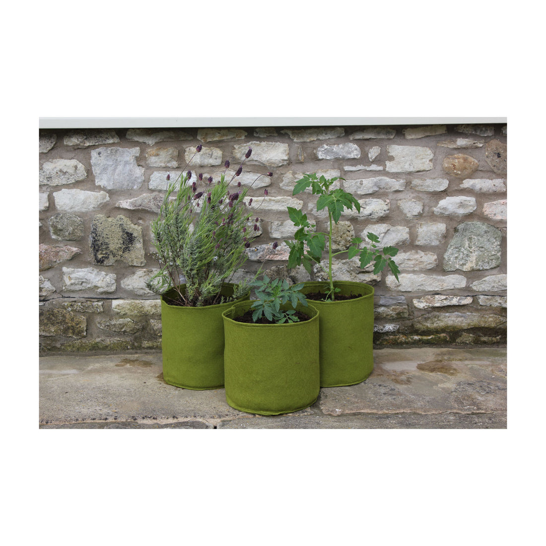 Vigoroot Pots (3 pack) - 2.6 Gal