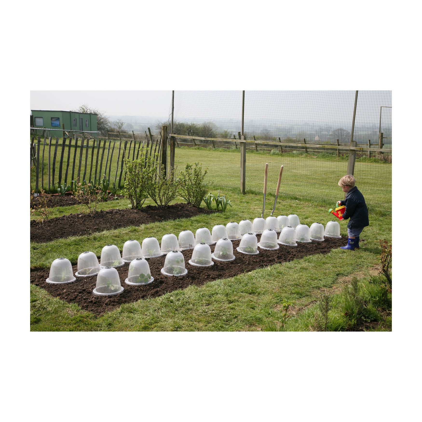 Victorian Bell (3 pack) - Baby