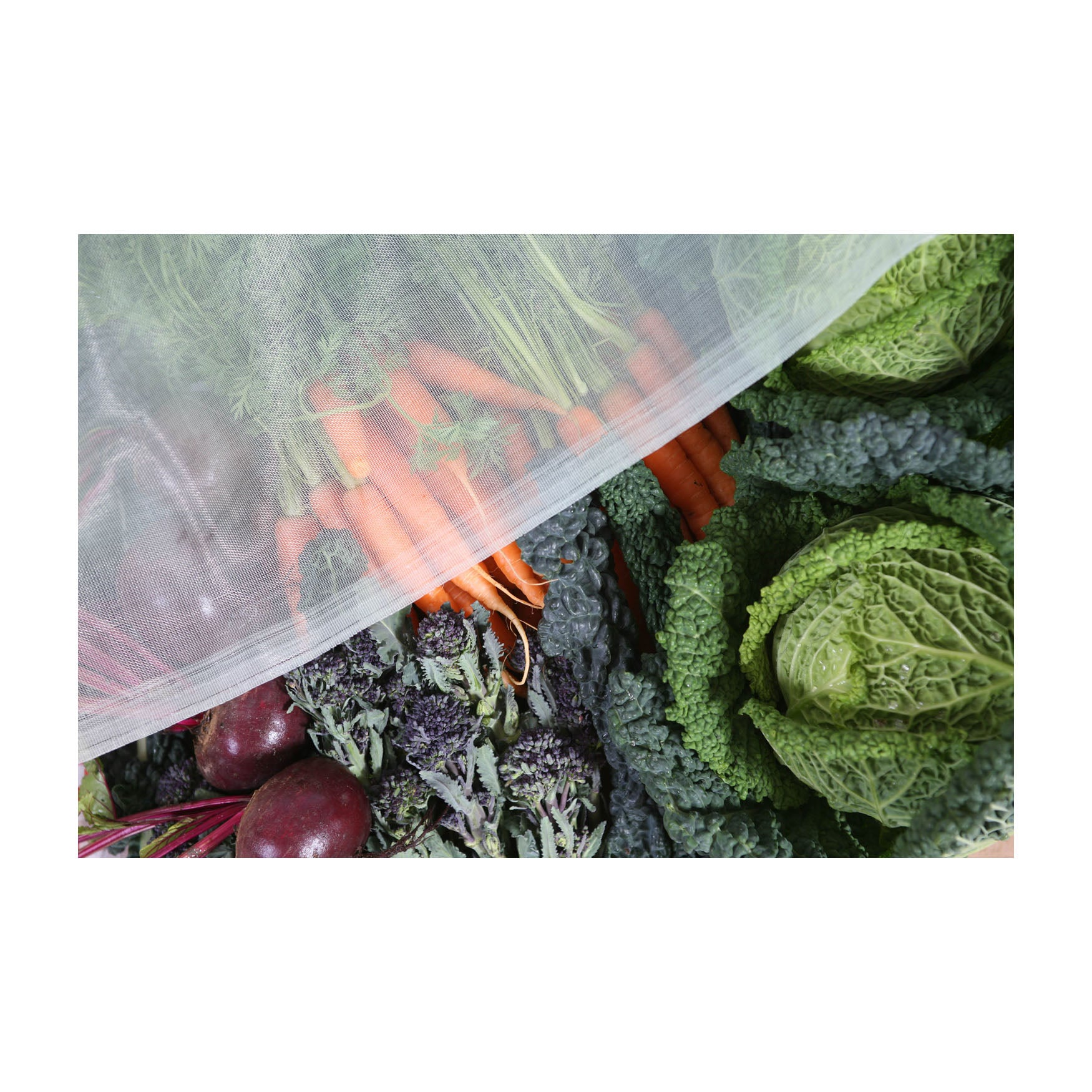 Micromesh Blanket - Pre-Cut 16&