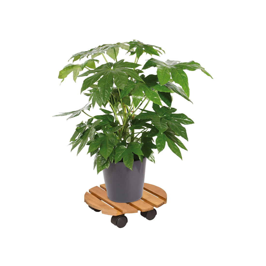Bamboo Plant Caddy - 11.4" Round