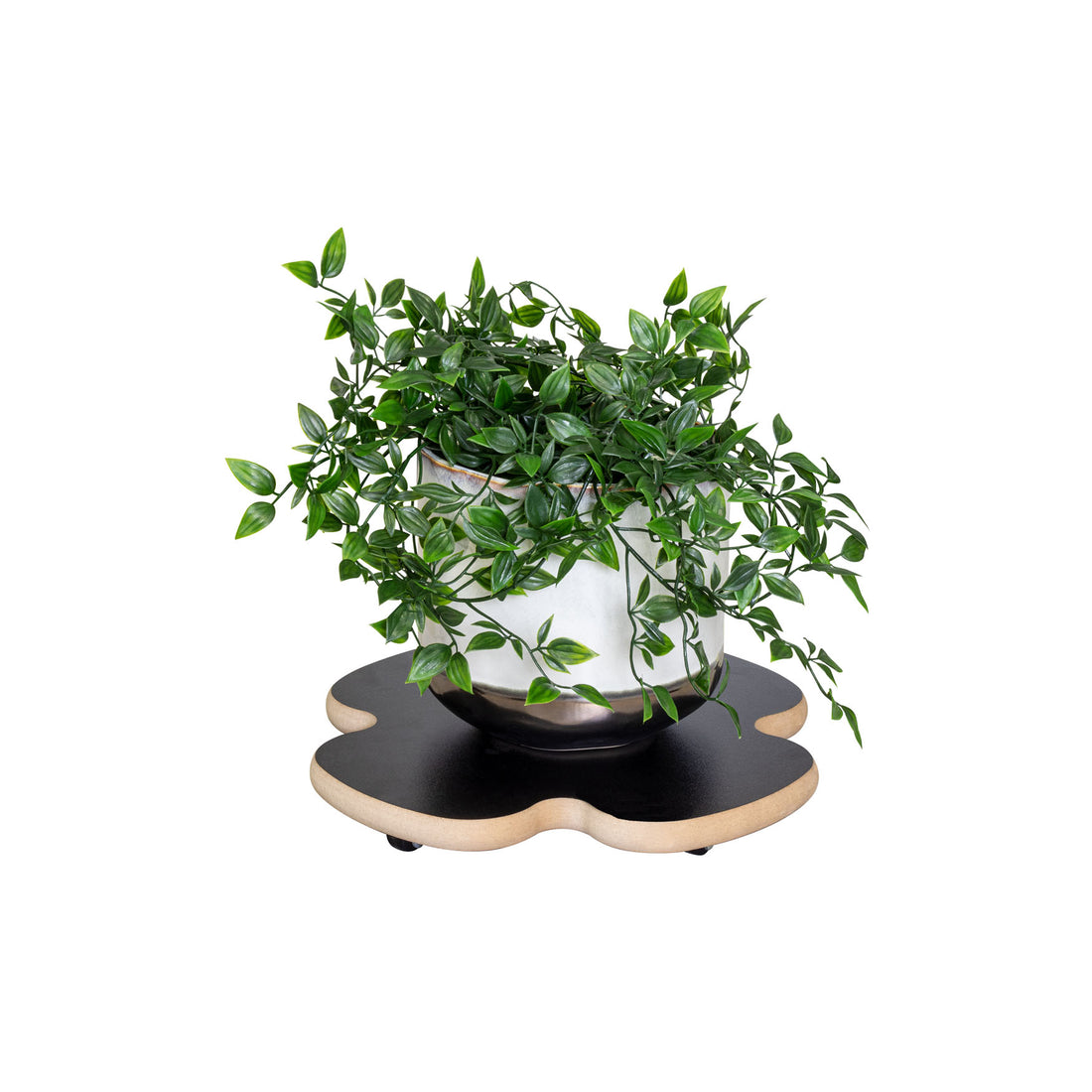 Clover Decor Plant Caddy - 13" Black