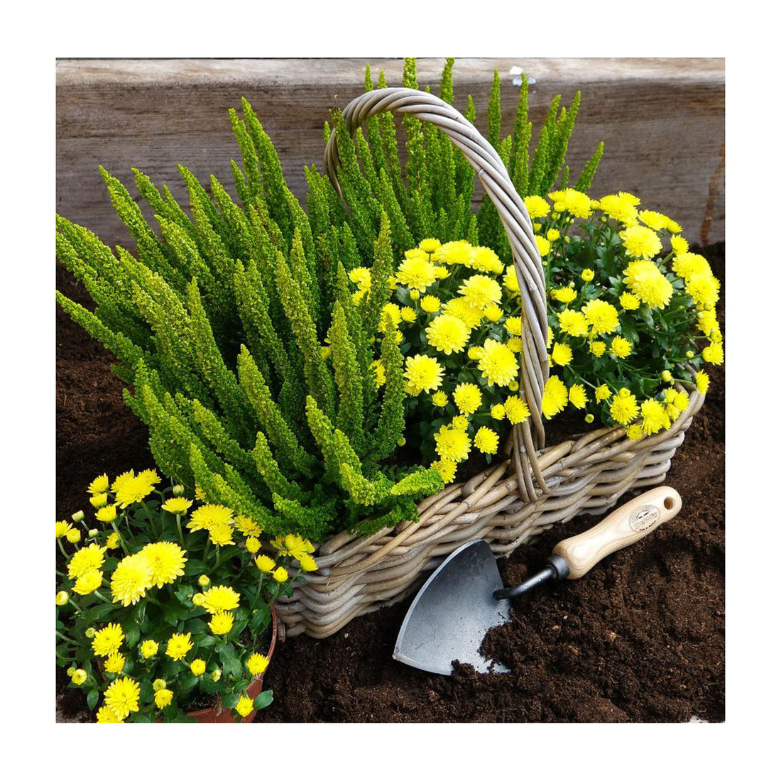 DeWit Trowel - Potting