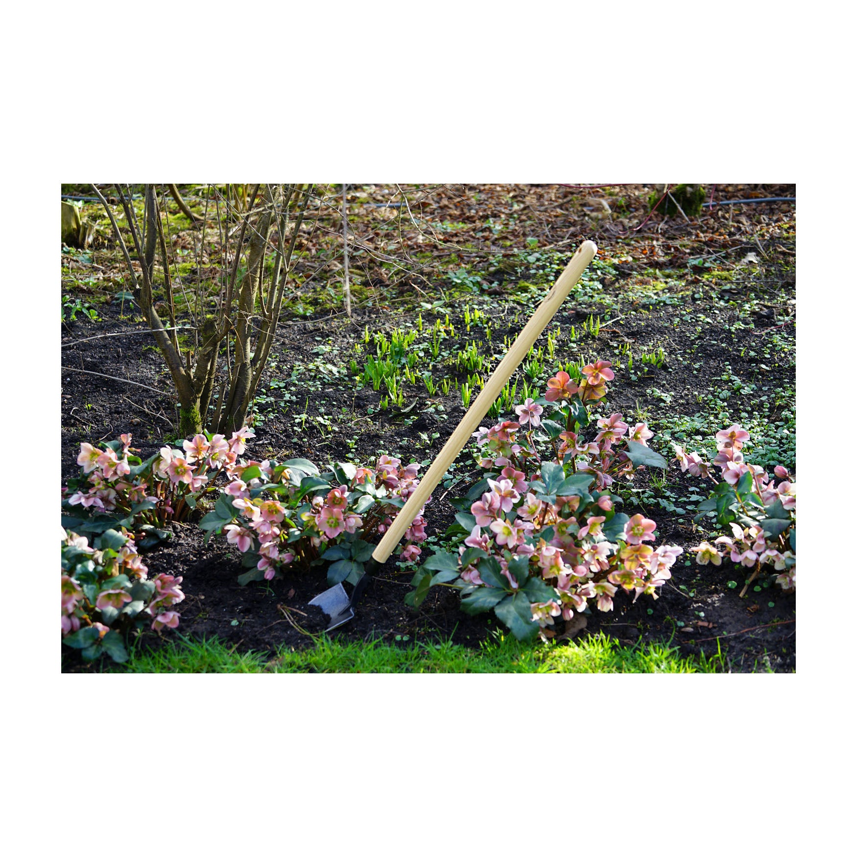 DeWit Shovel - Mini American with Long Handle