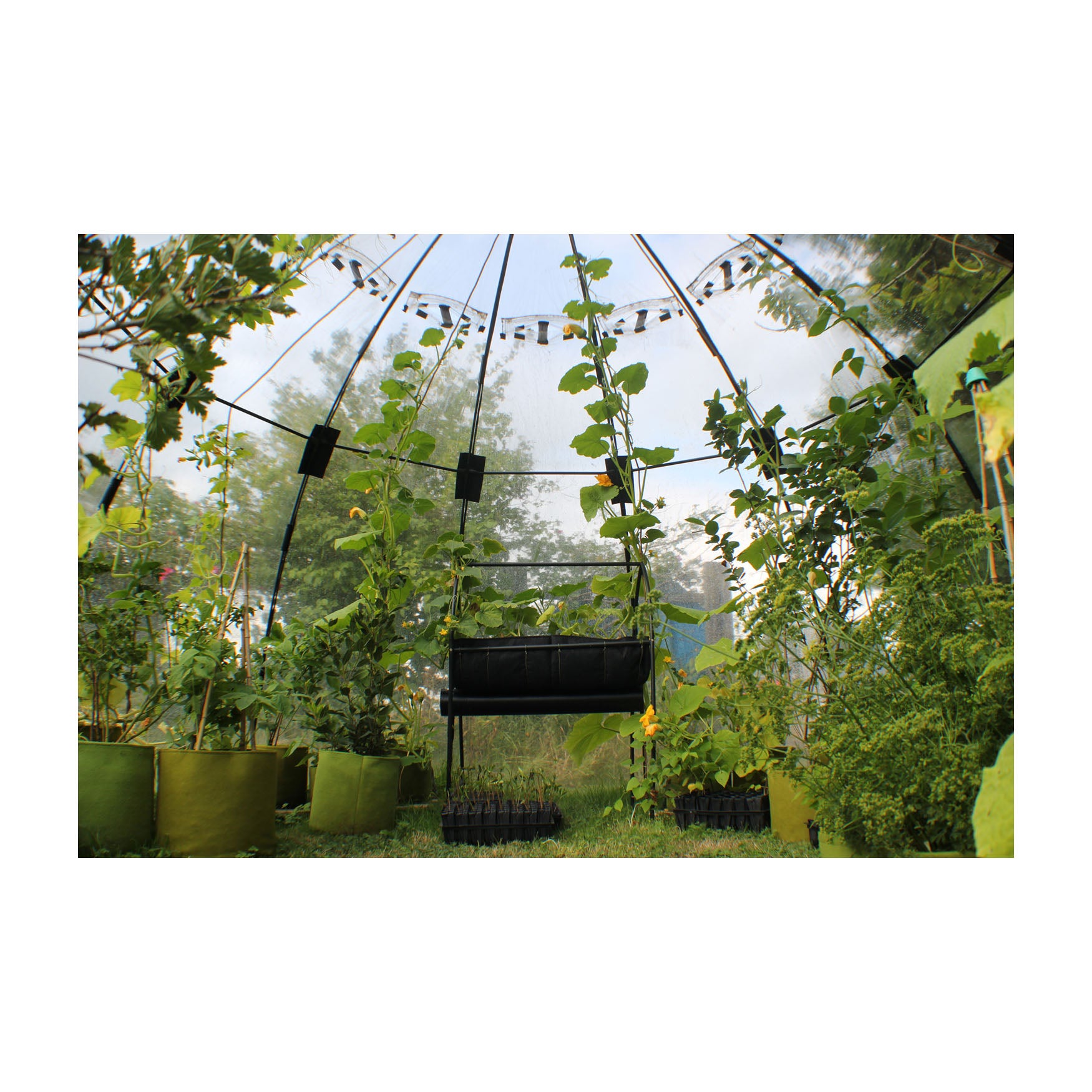 Sunbubble Greenhouse - Large