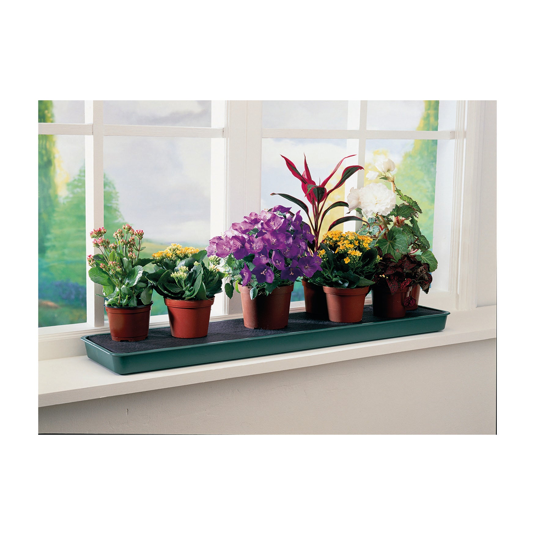 Windowsill Tray - Green
