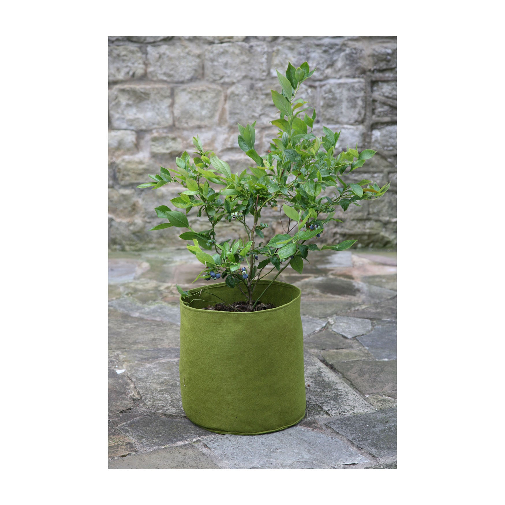 Vigoroot Pots (3 pack) - 2.6 Gal