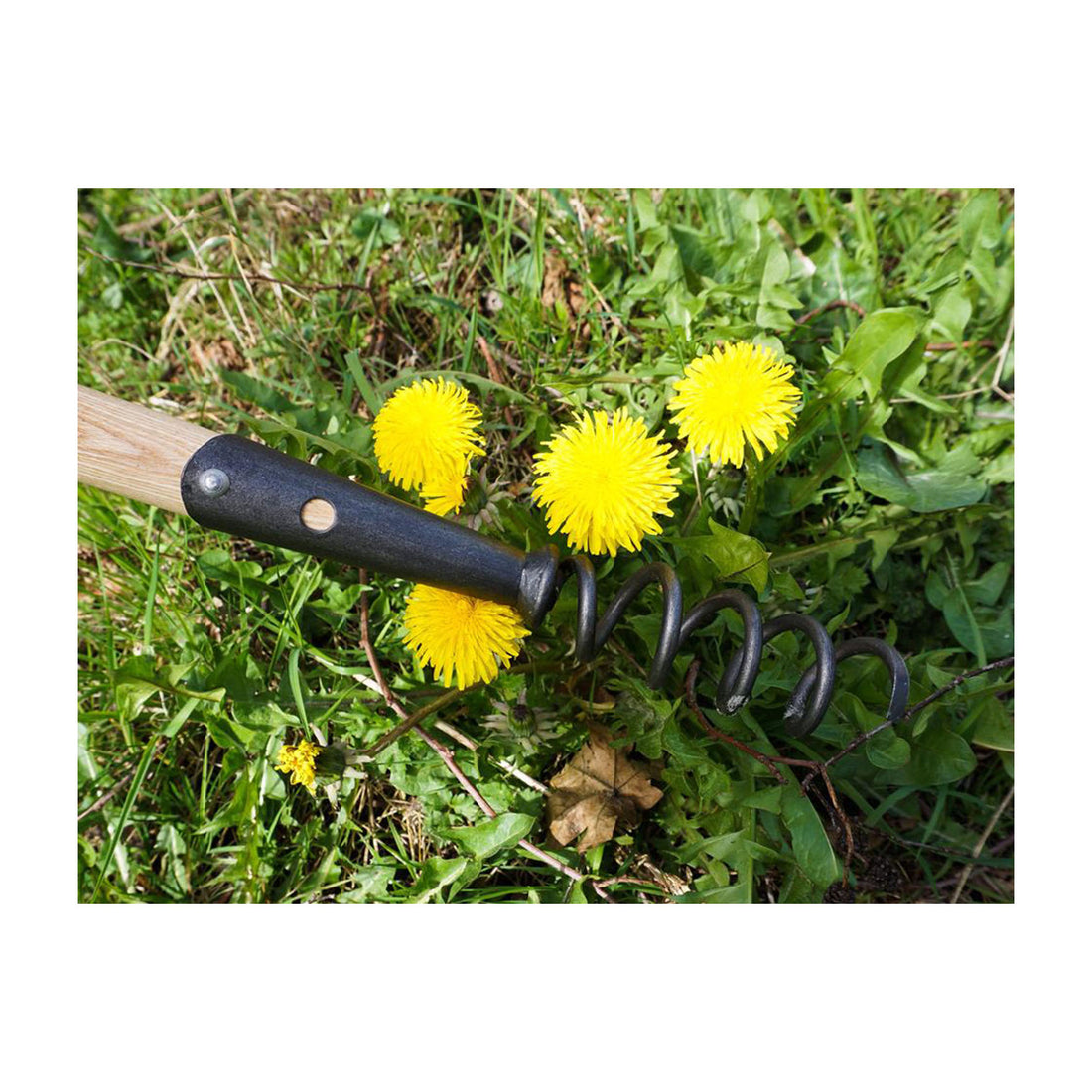 DeWit Weeder - Corkscrew with Long Handle
