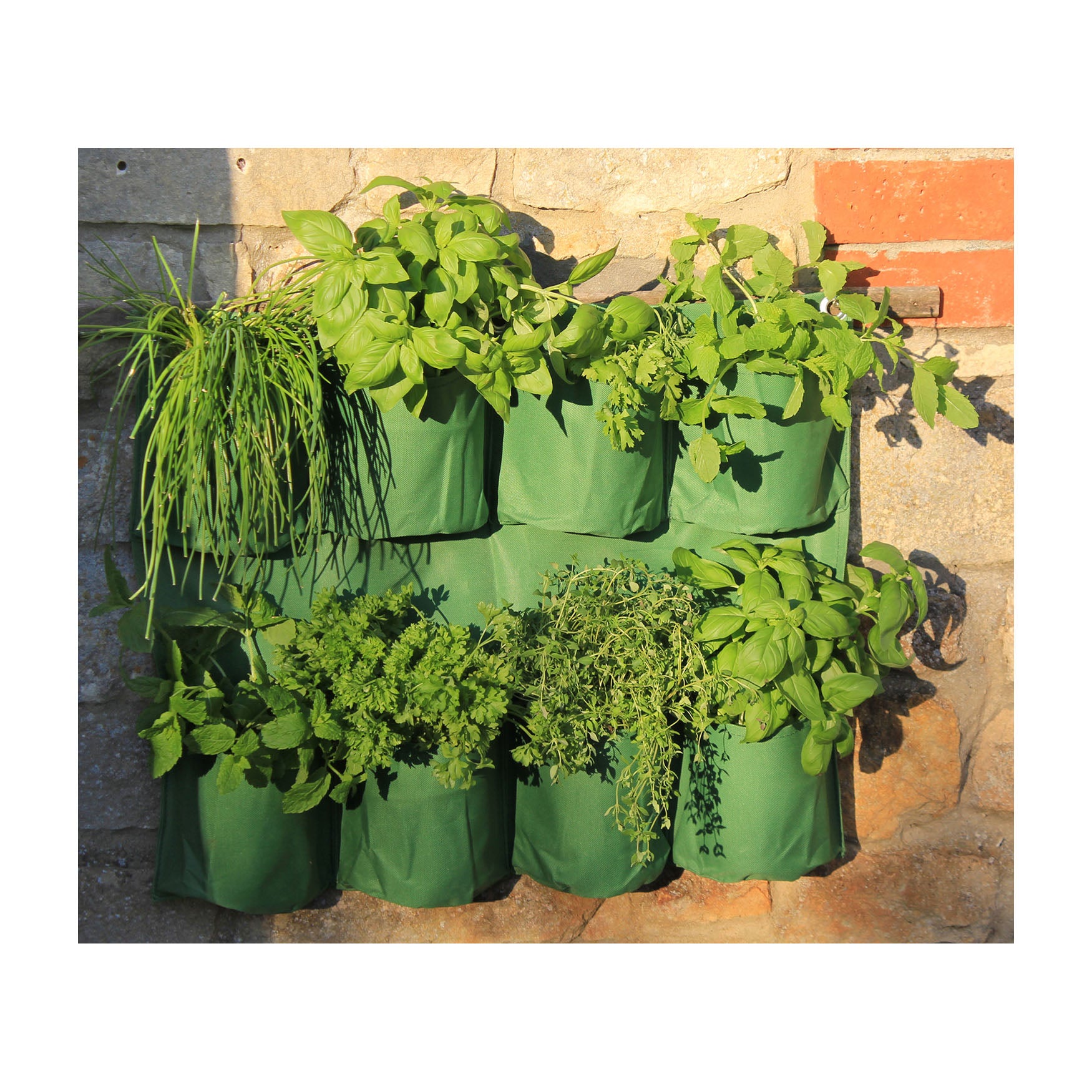 Herb Wall Planter
