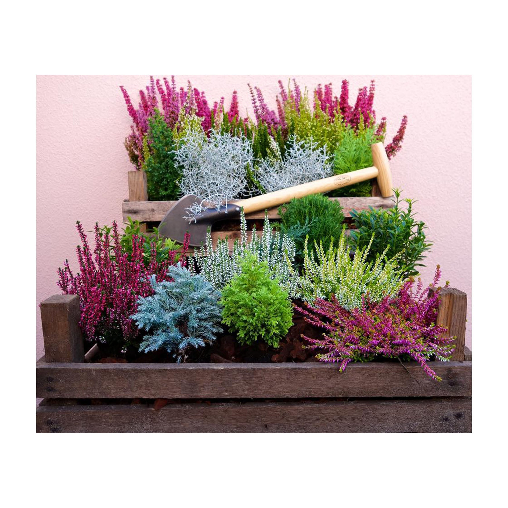 DeWit Spade - Perennial Long Handle