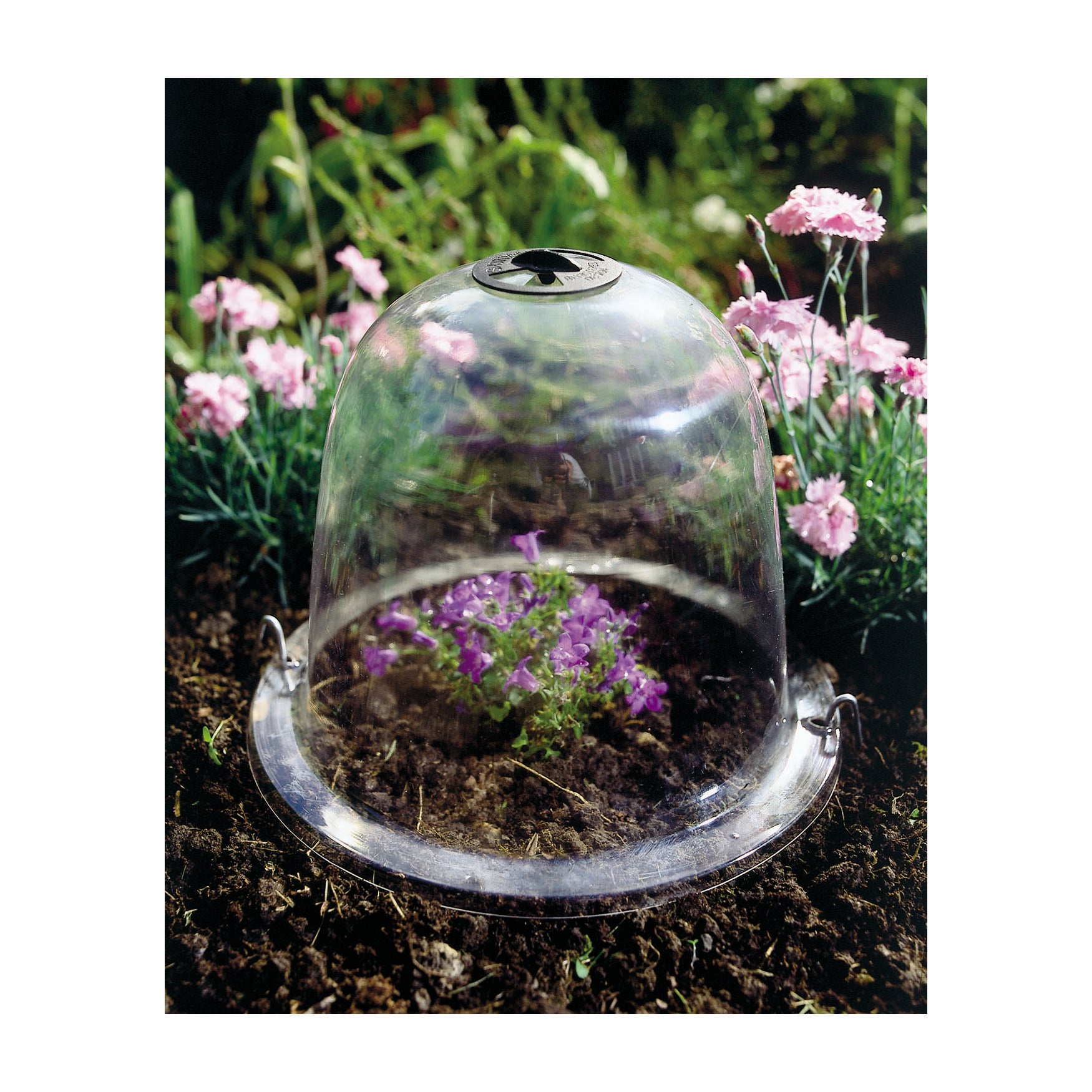 Victorian Bell (3 pack) - Baby