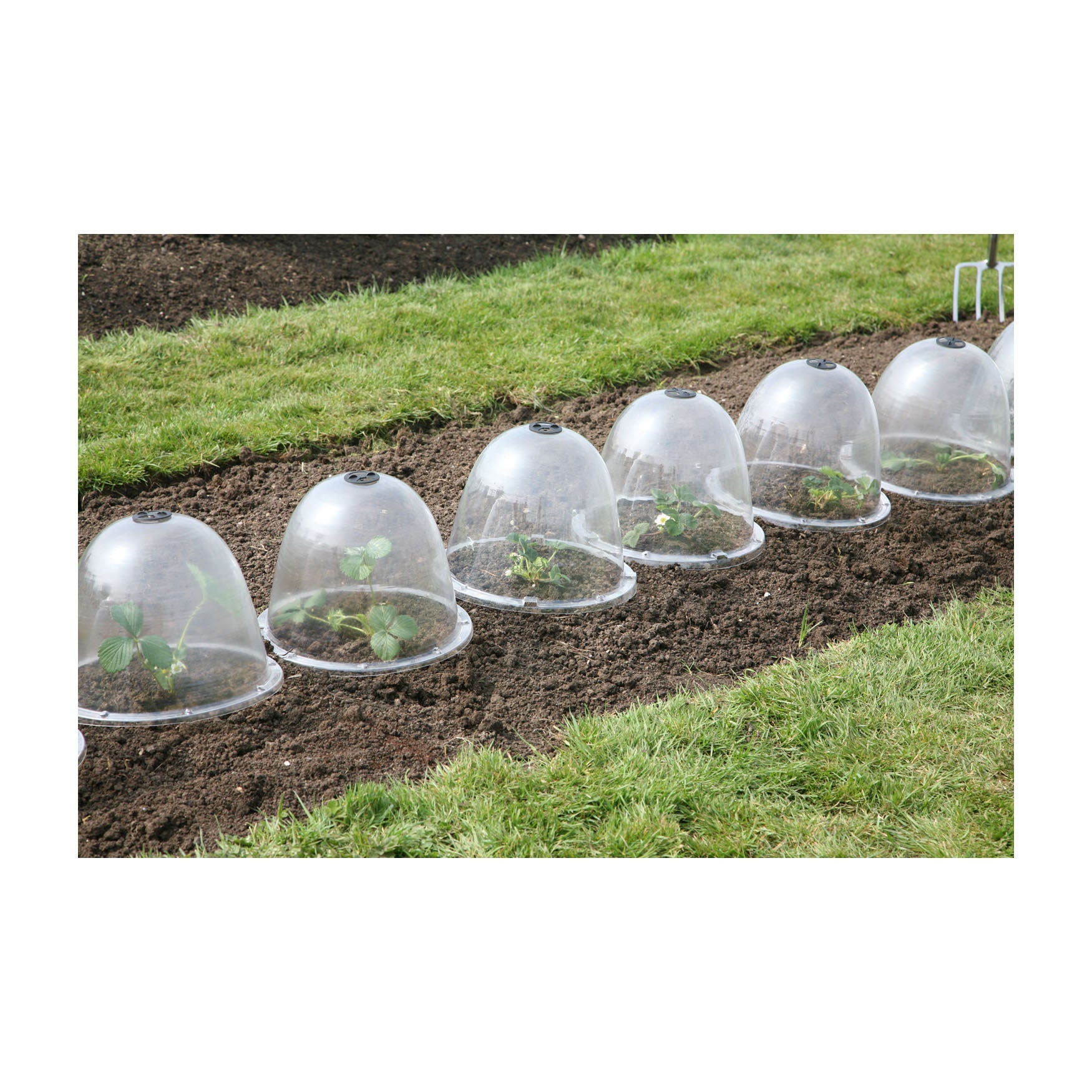 Victorian Bell (3 pack)