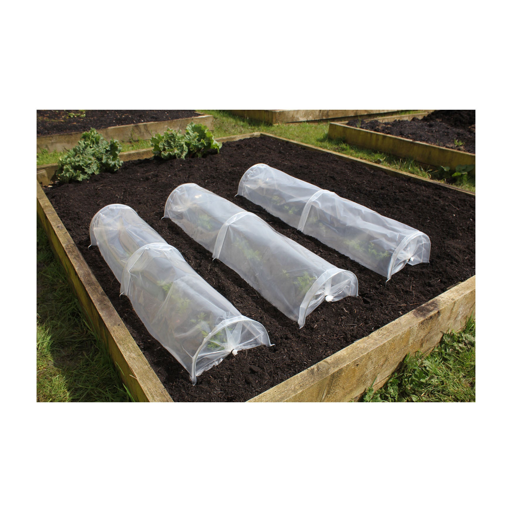 Easy Seedling Tunnel (3 pack)