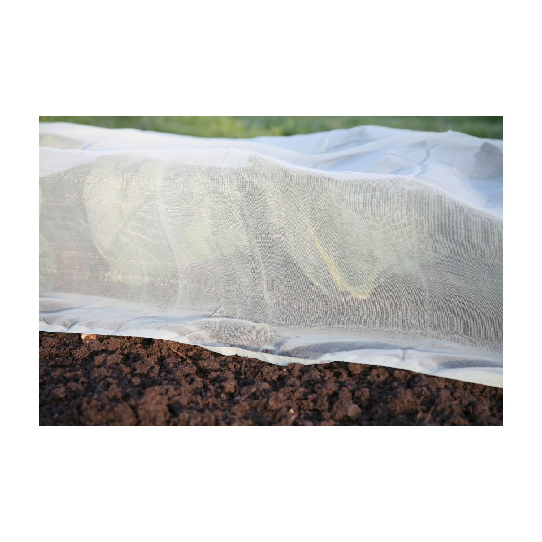 Micromesh Blanket - Pre-Cut 12&