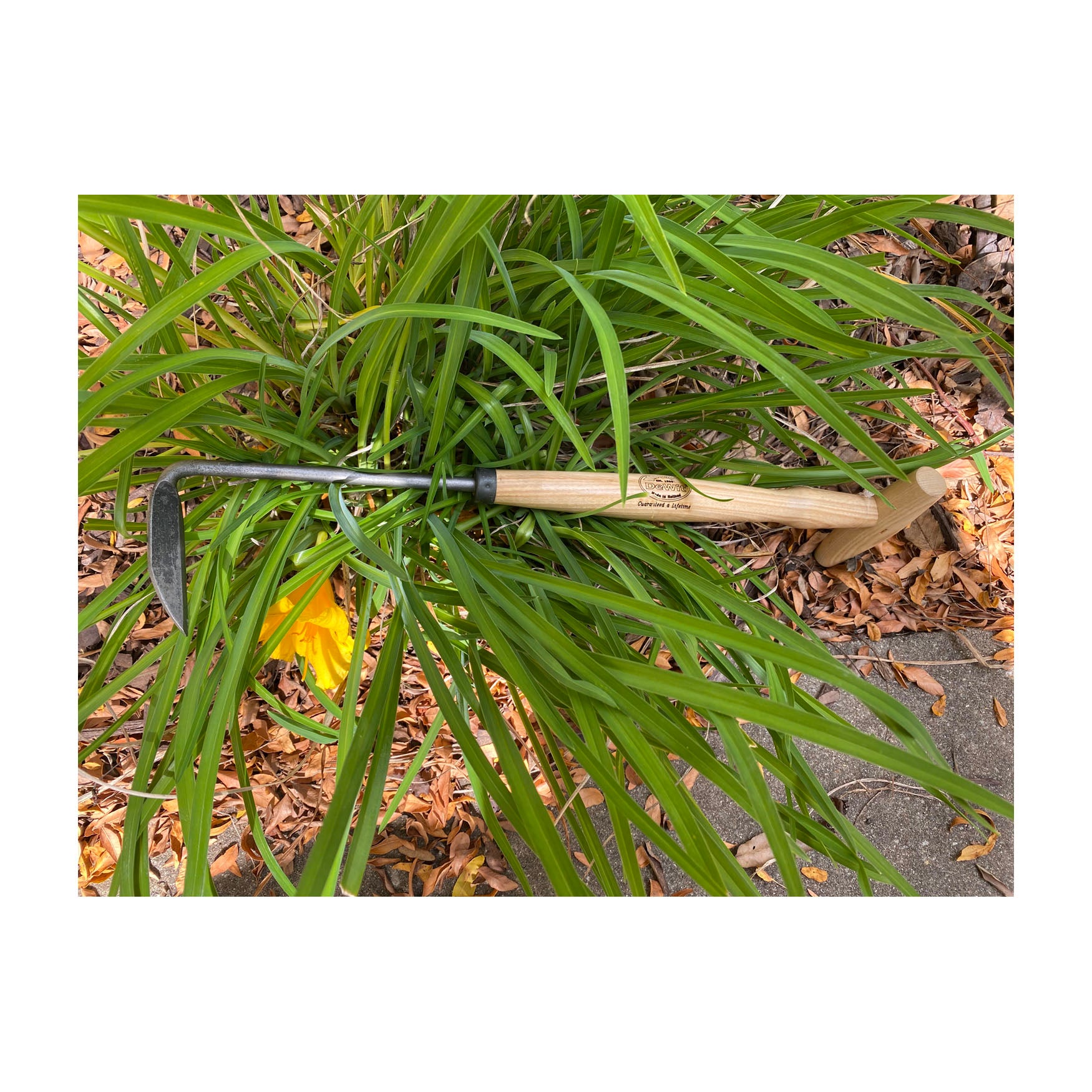 DeWit Weeder - Cape Cod - Right Handed with P-Grip Handle