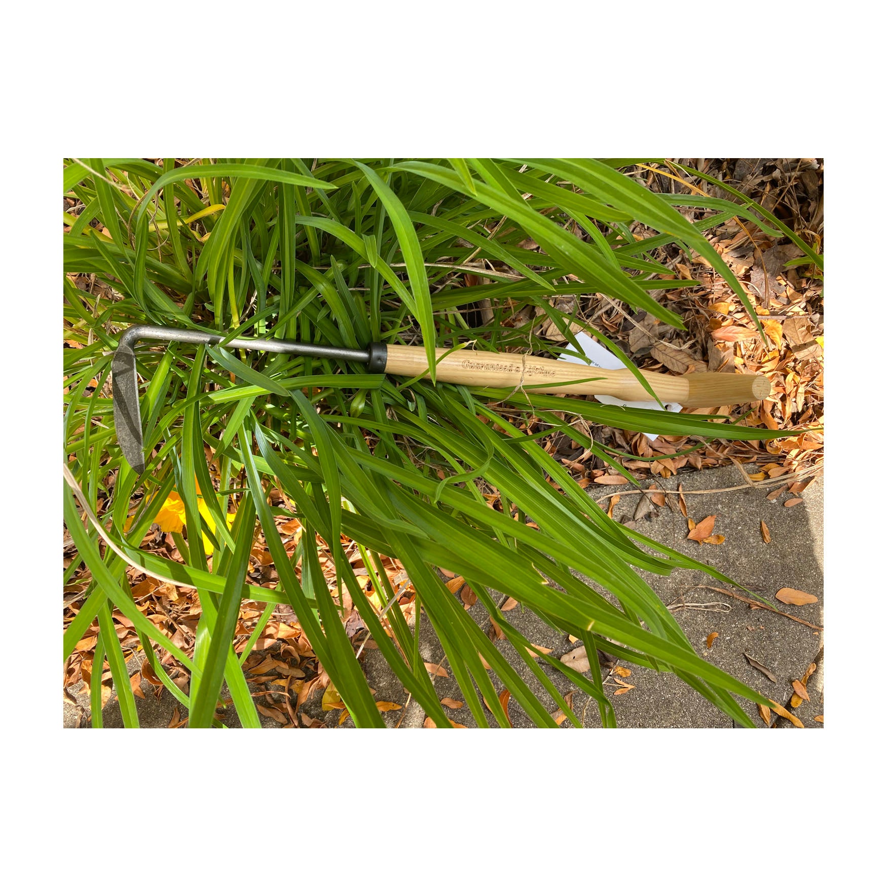 DeWit Weeder - Cape Cod - Left Handed with P-Grip Handle